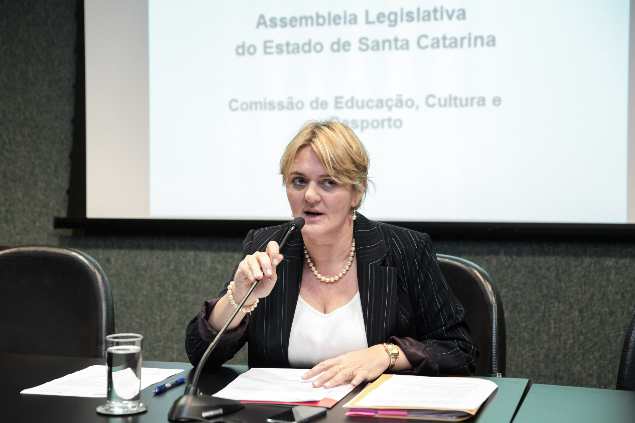 Deputada Luciane Carminatti (PT). Comissão de Educação Cultura e Desporto.