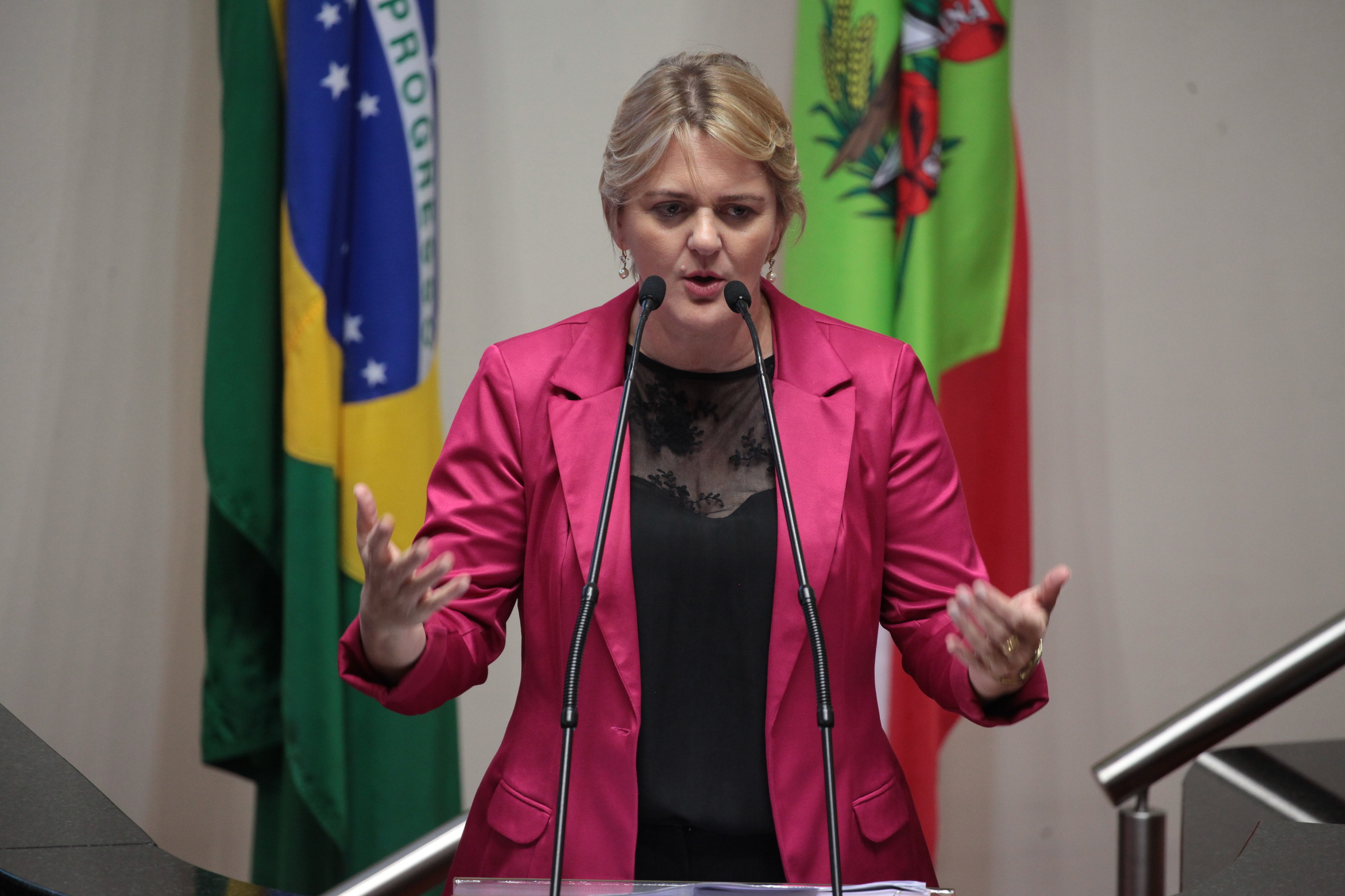 Deputada Luciane Carminatti (PT). Sessão Ordinária.