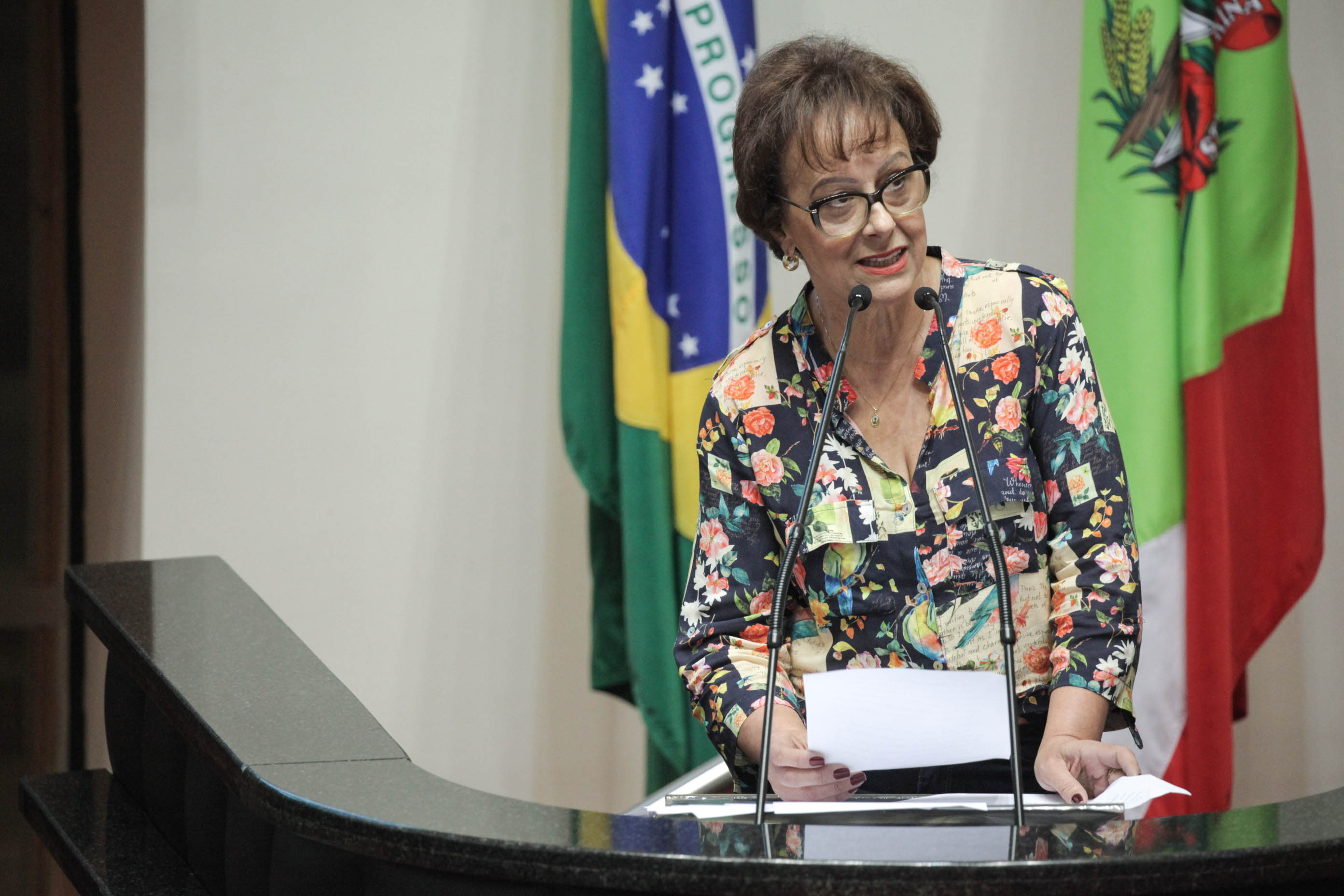 Deputada Dirce Heiderscheidt (PMDB). Sessão Ordinária.