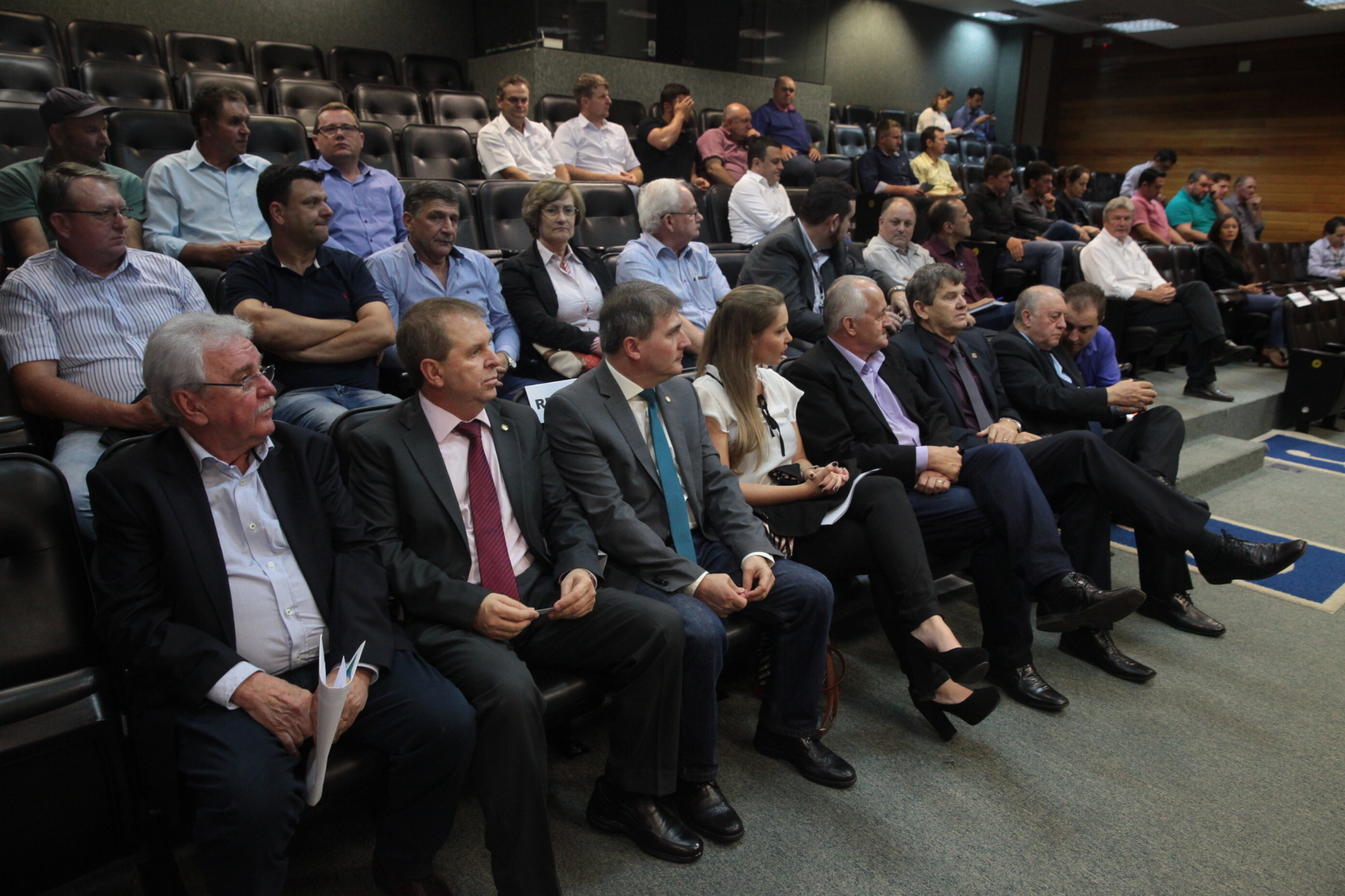 Audiência debateu problemas e soluções para a cadeia produtiva do leite