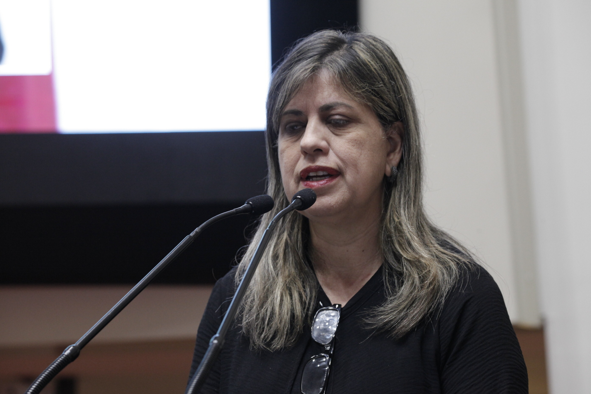 Elisa Wypes de Liz,  secretária de Turismo de Urubici