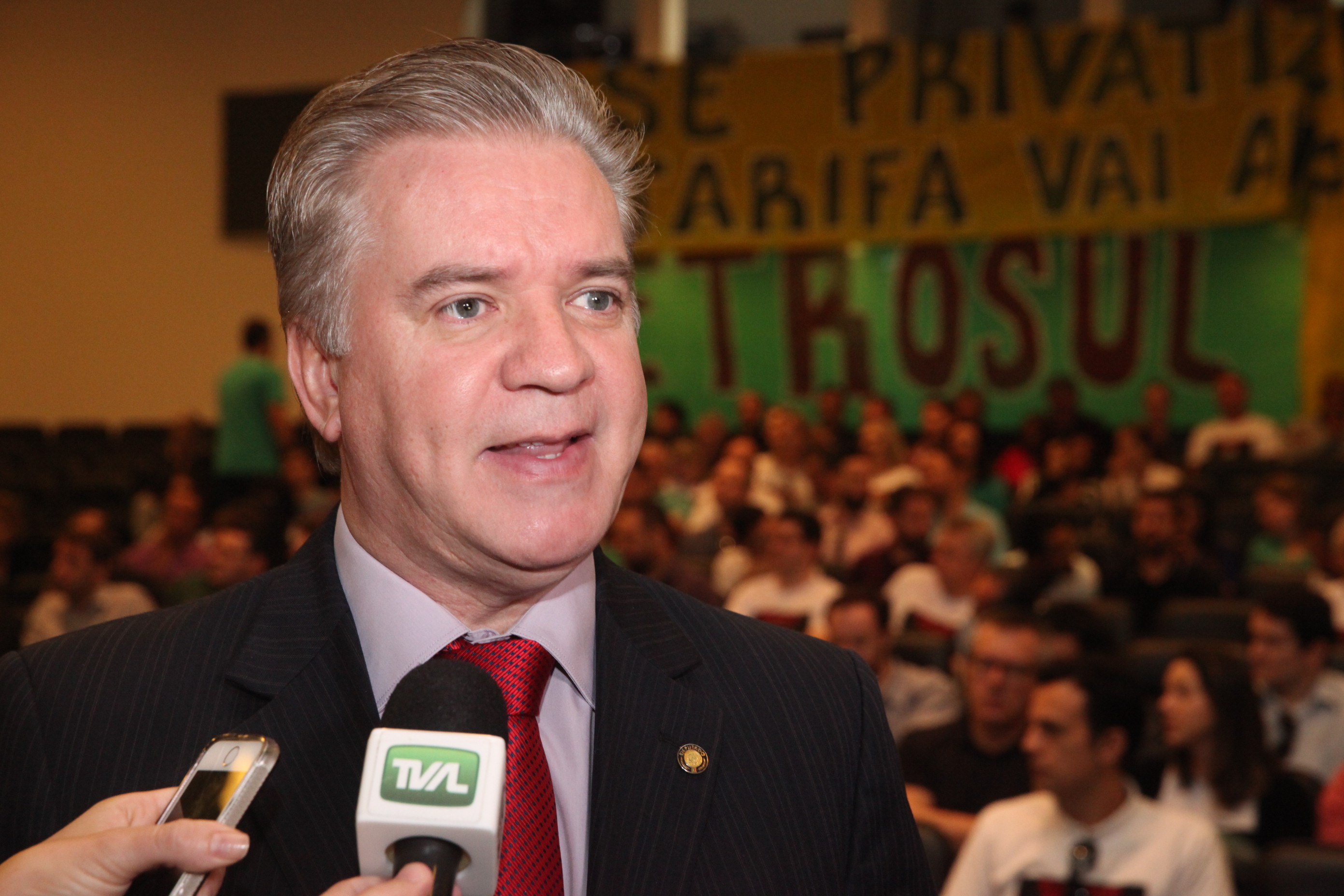 Audiência Pública para Discutir a Privatização do Sistema Elétrico.