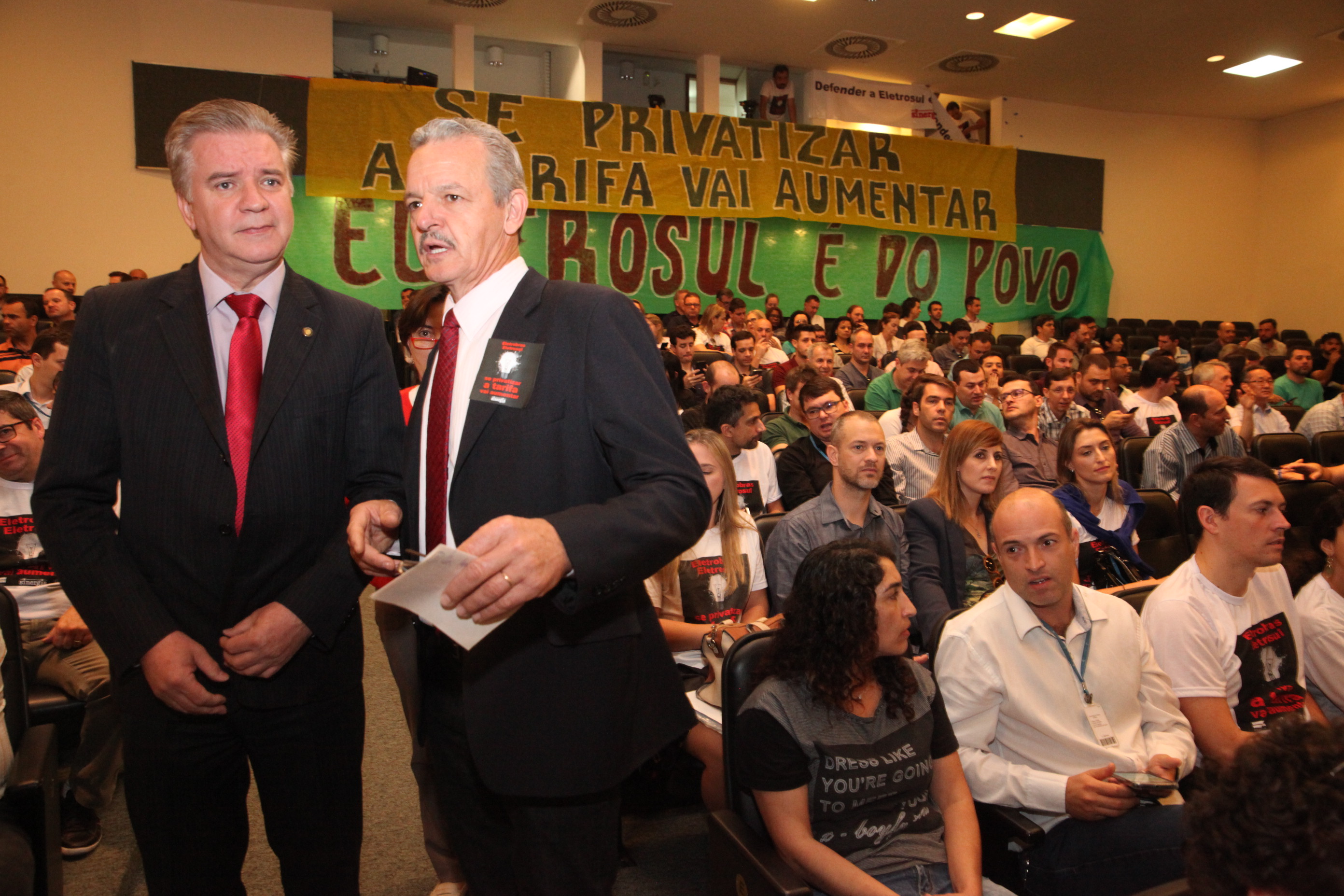 Audiência Pública para Discutir a Privatização do Sistema Elétrico.