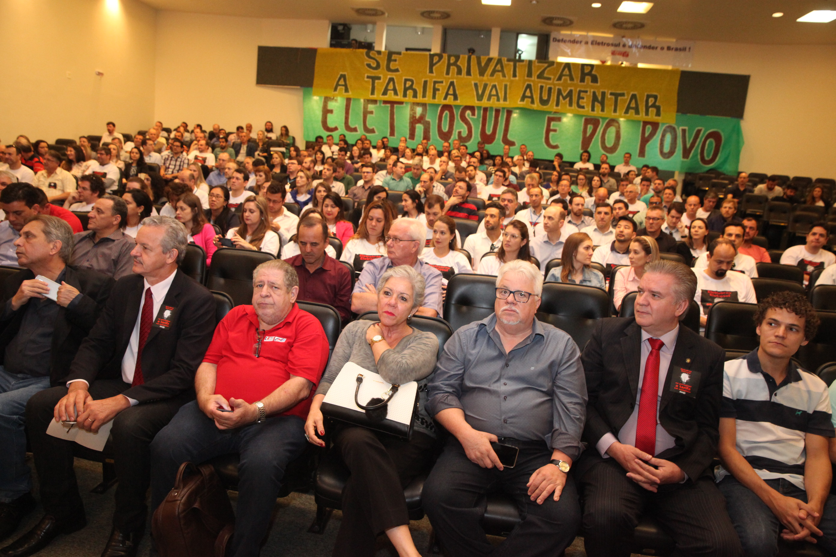 Audiência Pública para Discutir a Privatização do Sistema Elétrico.