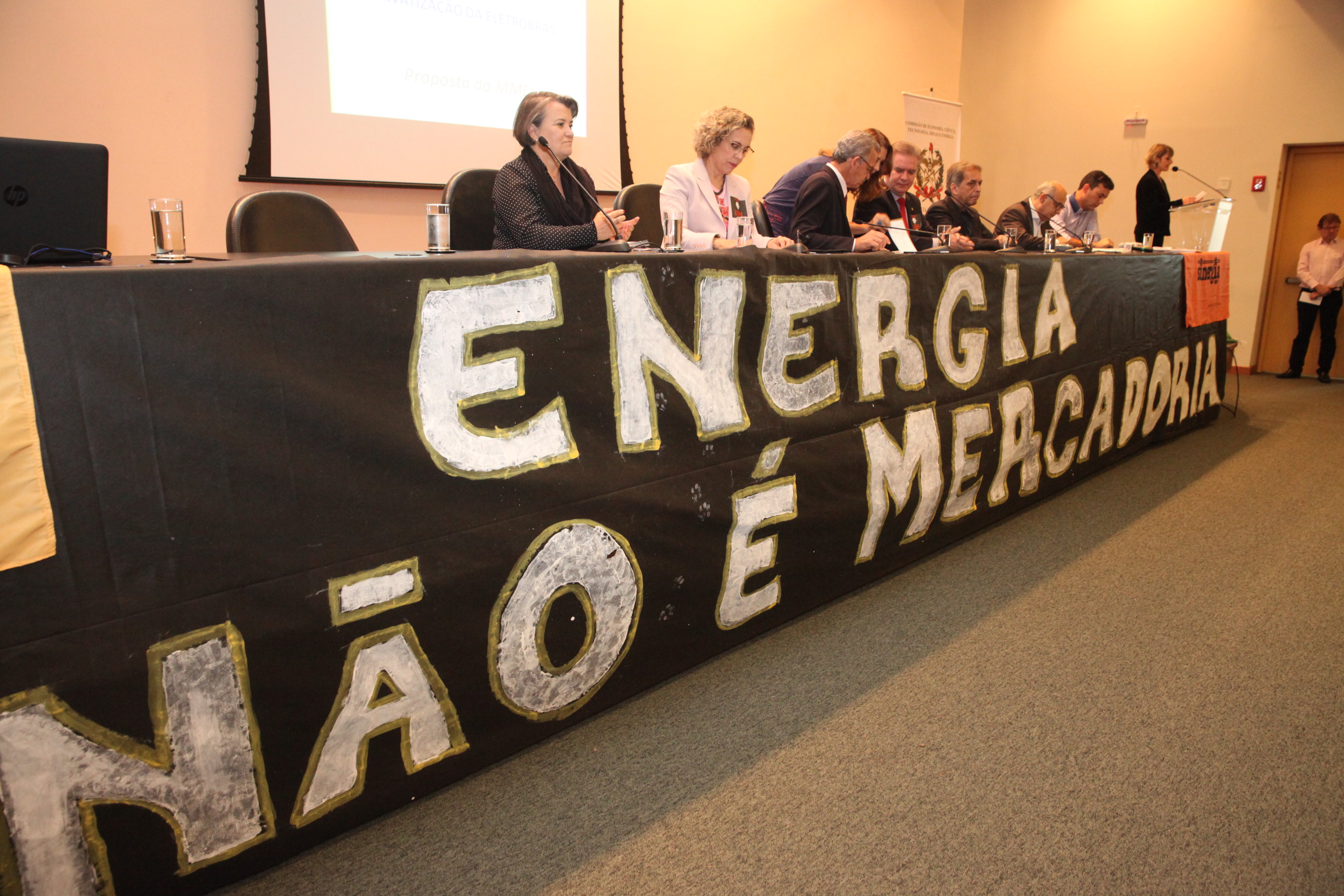 Audiência Pública para Discutir a Privatização do Sistema Elétrico.