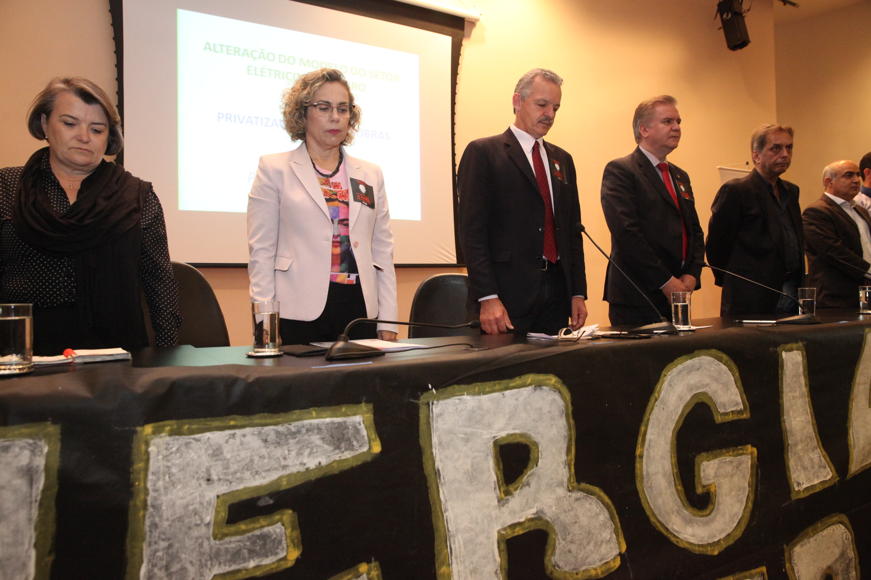 Audiência Pública para Discutir a Privatização do Sistema Elétrico.