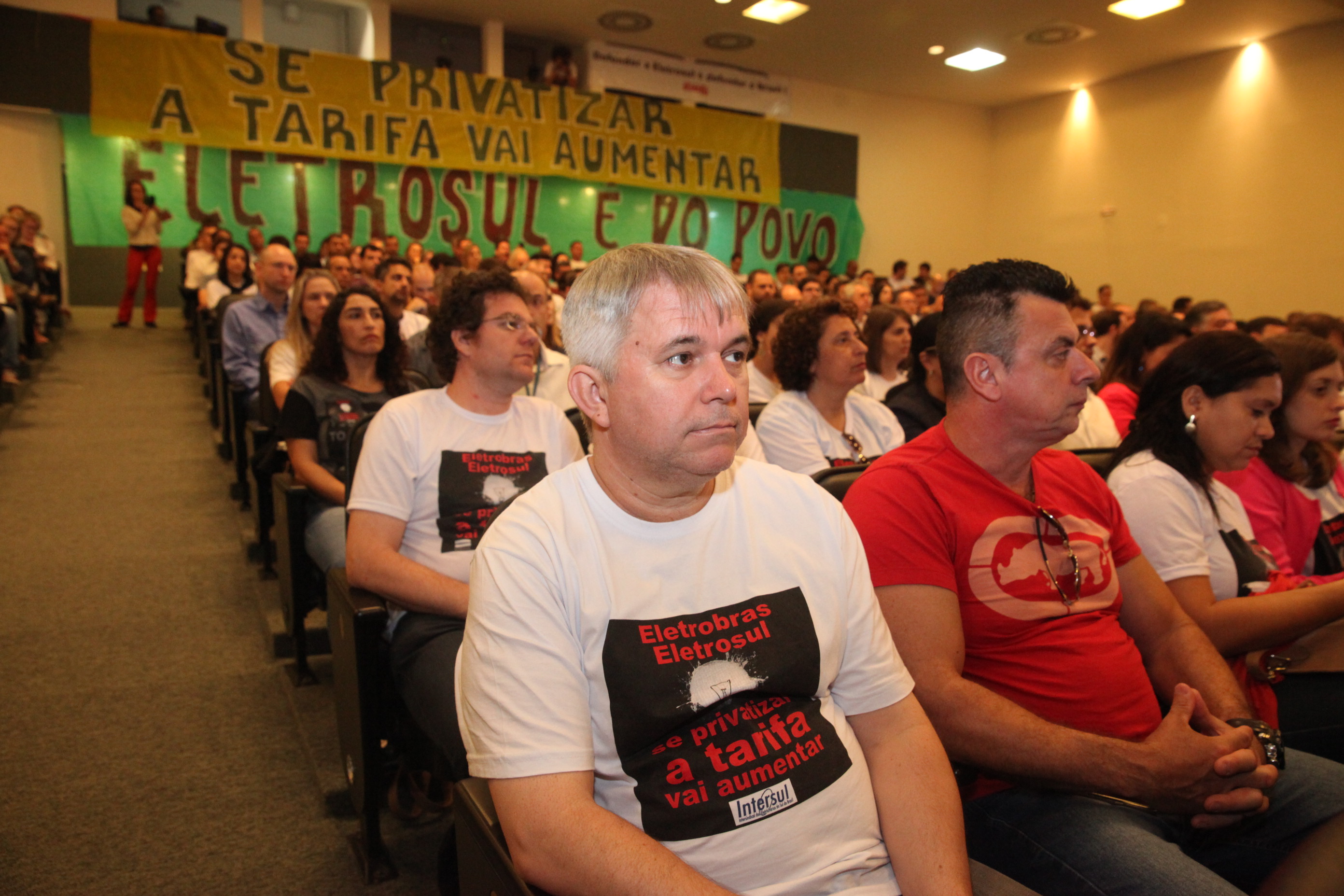 Audiência Pública para Discutir a Privatização do Sistema Elétrico.