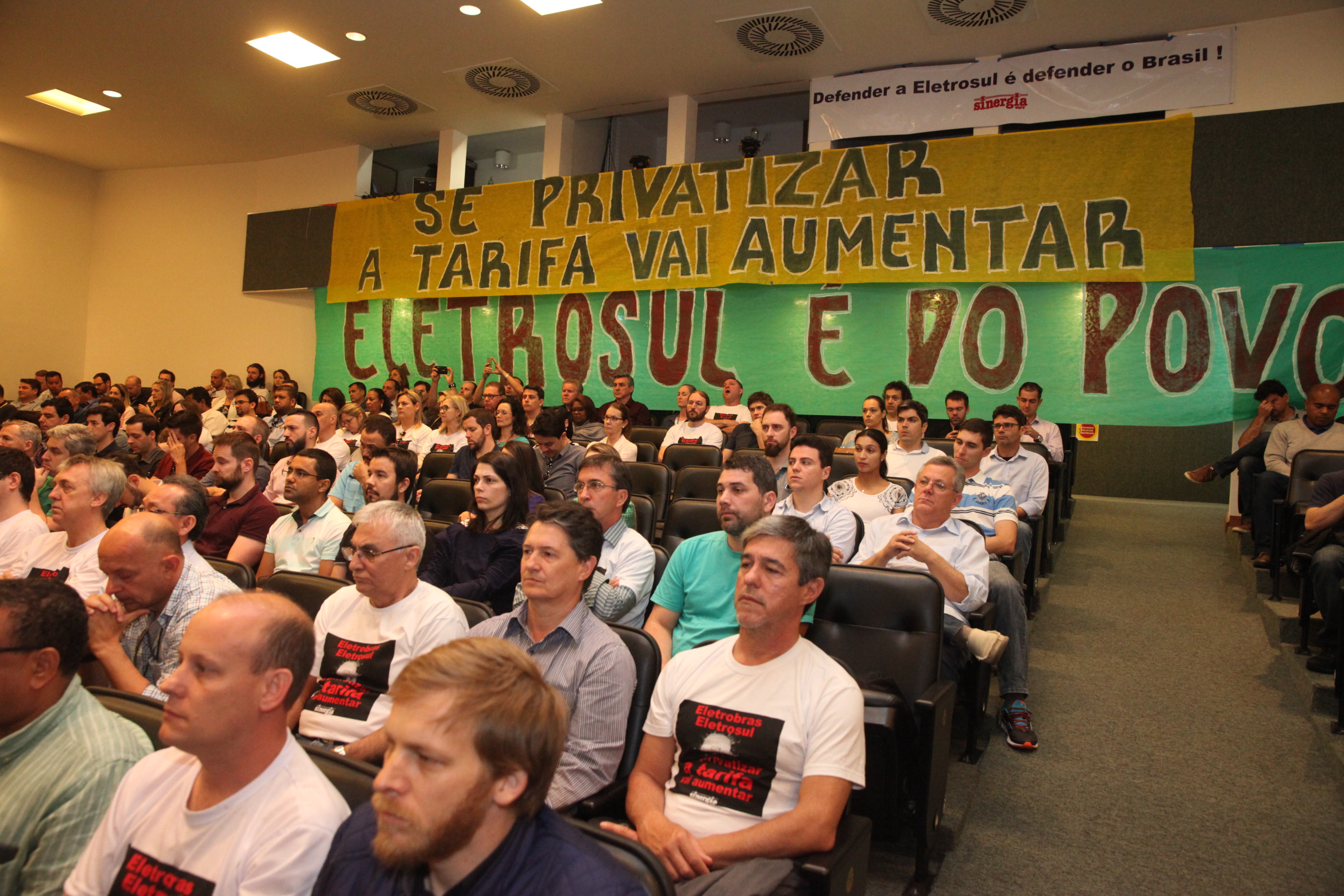 Audiência Pública para Discutir a Privatização do Sistema Elétrico.