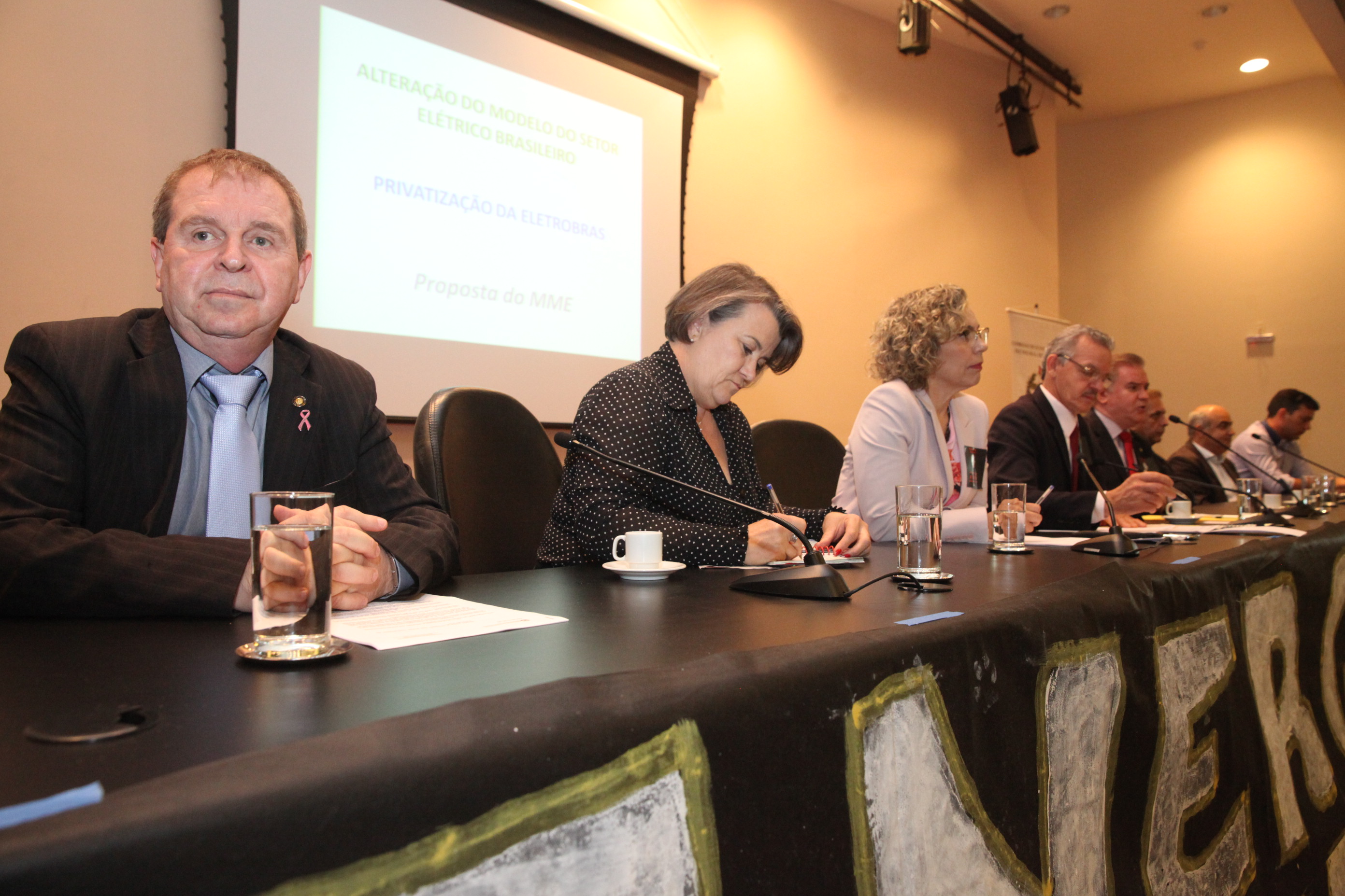 Audiência Pública para Discutir a Privatização do Sistema Elétrico.