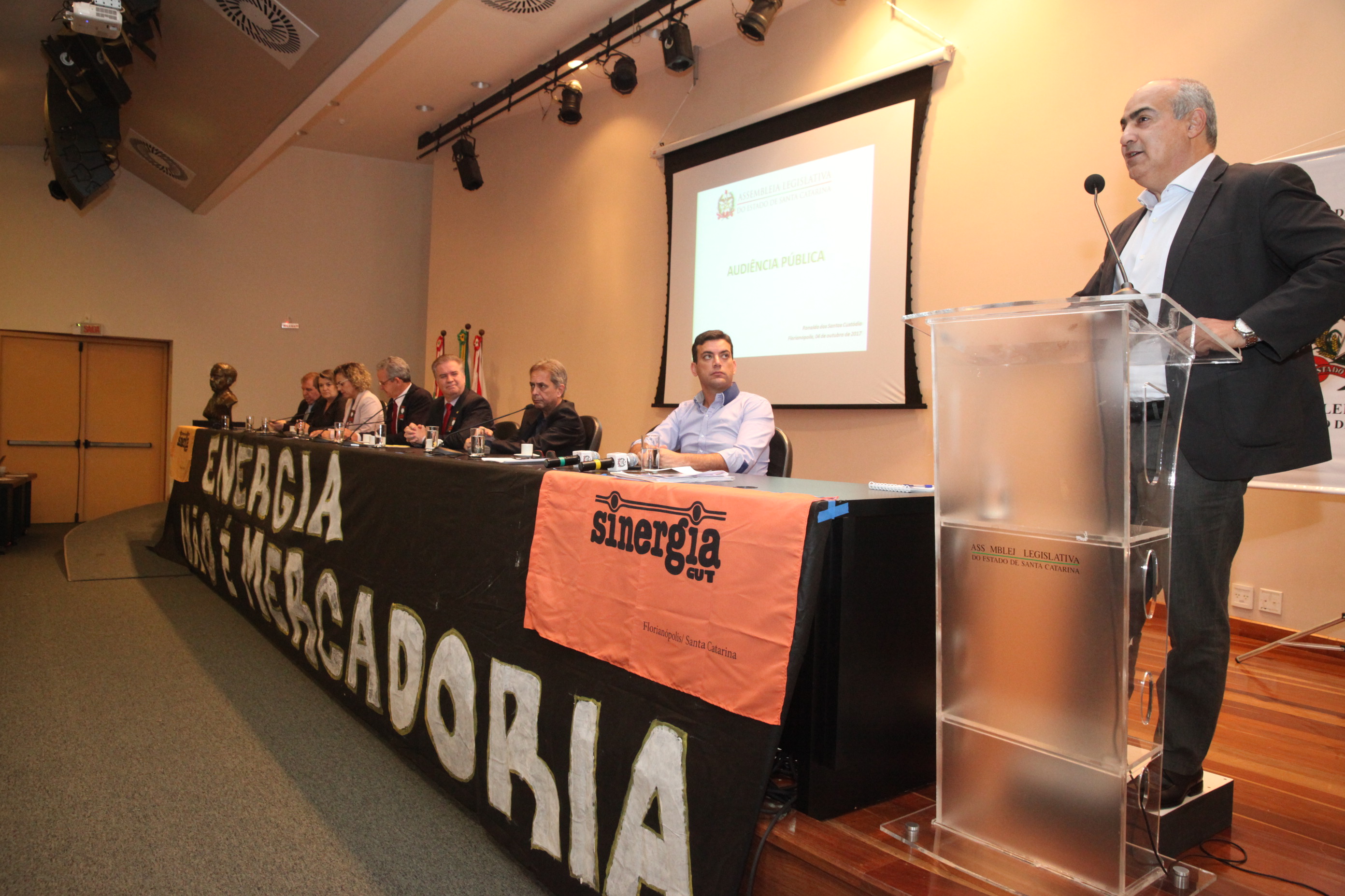 Audiência Pública para Discutir a Privatização do Sistema Elétrico.