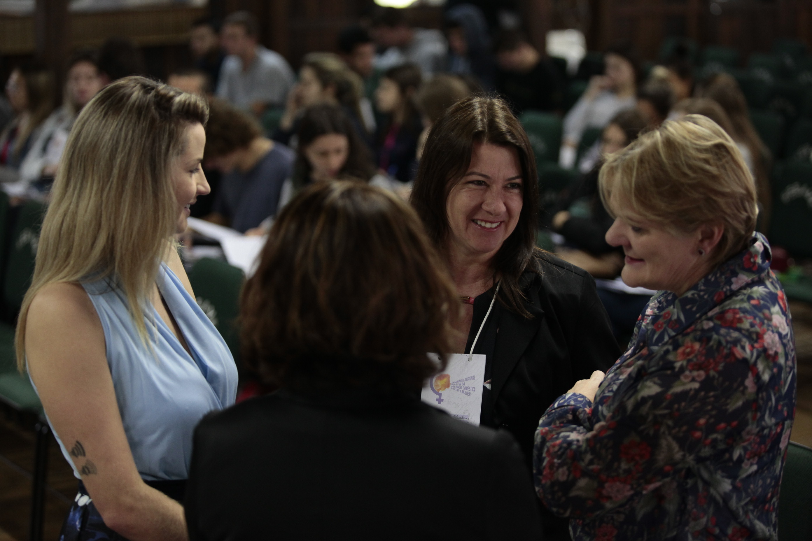 Seminário Regional pelo Fim da Violência Doméstica contra a Mulher - Orleans.