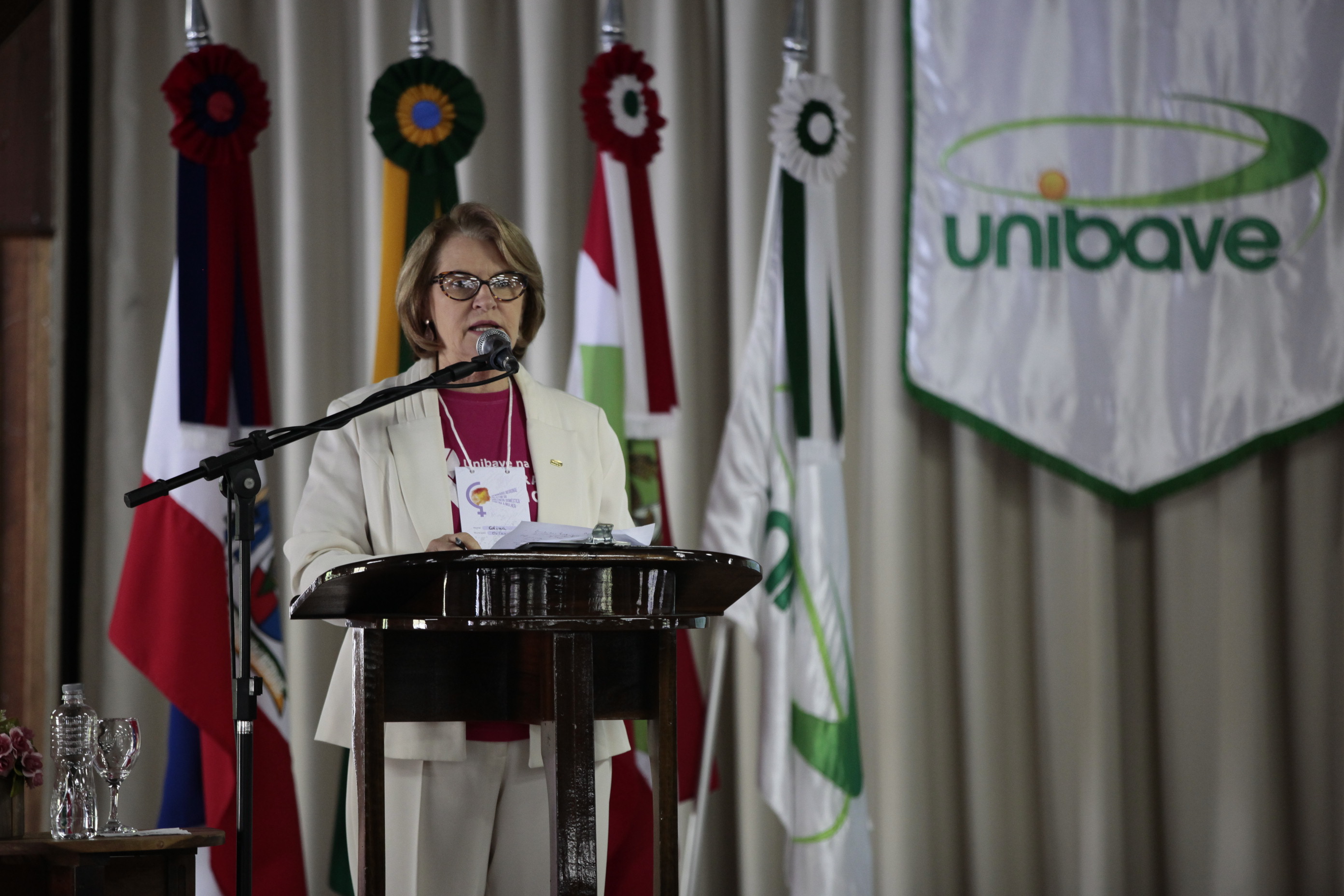 Seminário Regional pelo Fim da Violência Doméstica contra a Mulher - Orleans.