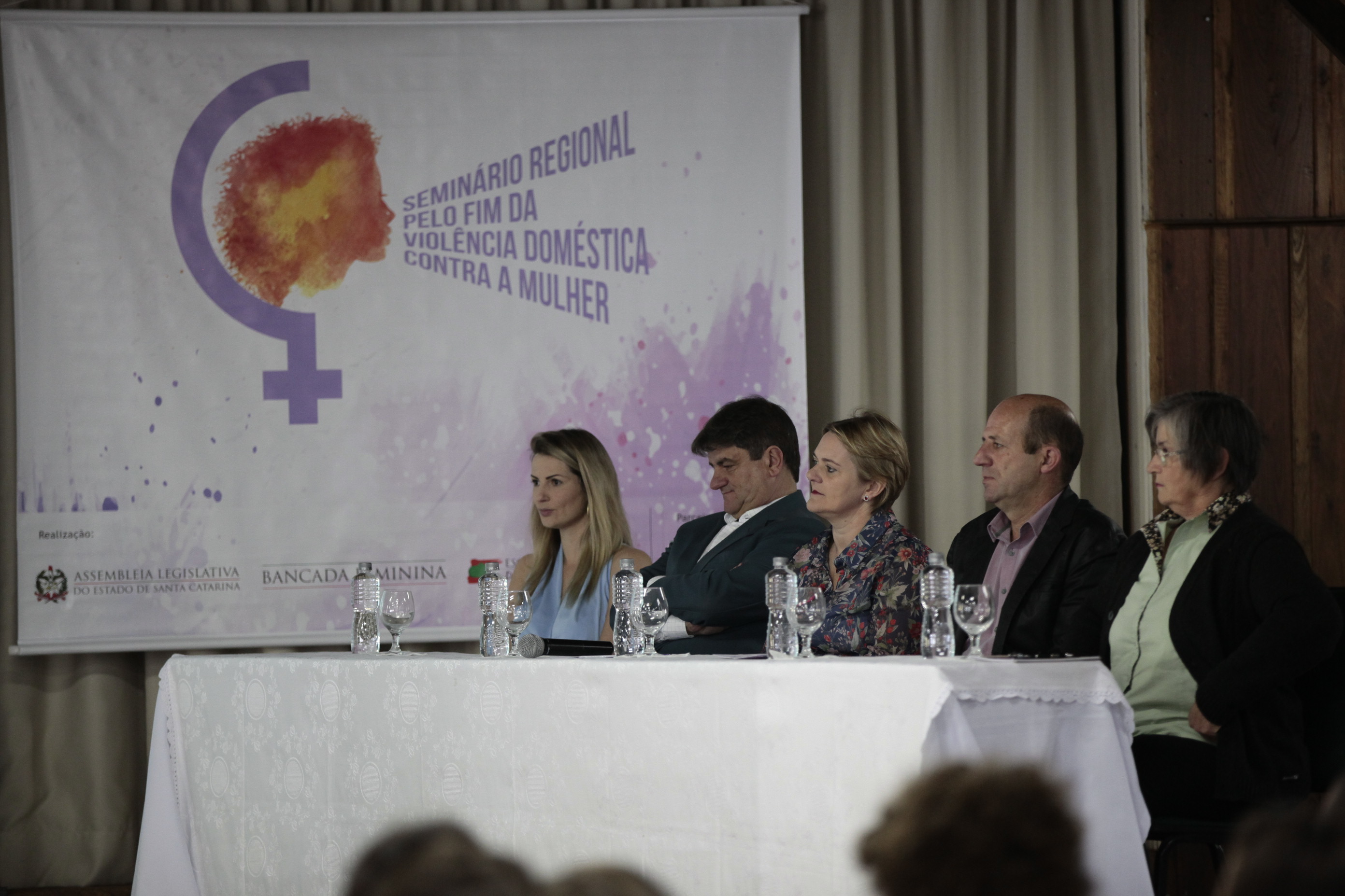 Seminário Regional pelo Fim da Violência Doméstica contra a Mulher - Orleans.