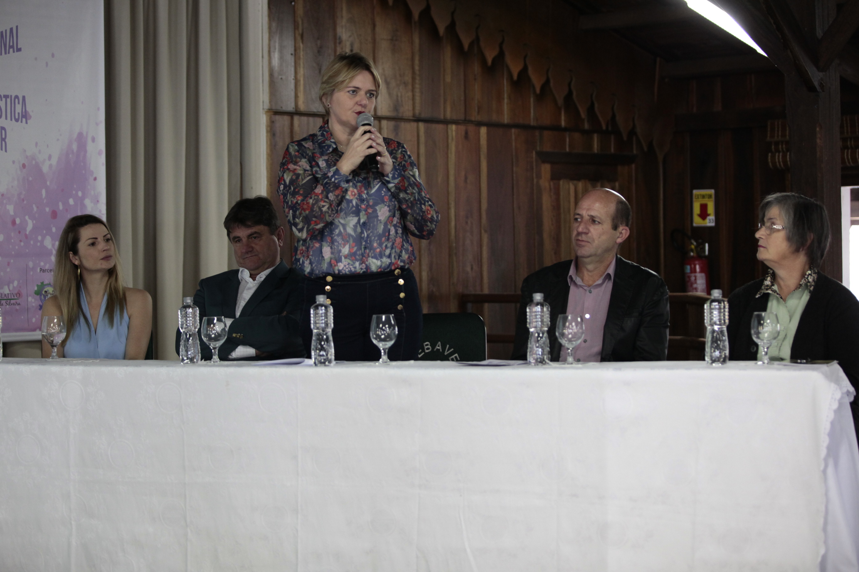 Seminário Regional pelo Fim da Violência Doméstica contra a Mulher - Orleans.