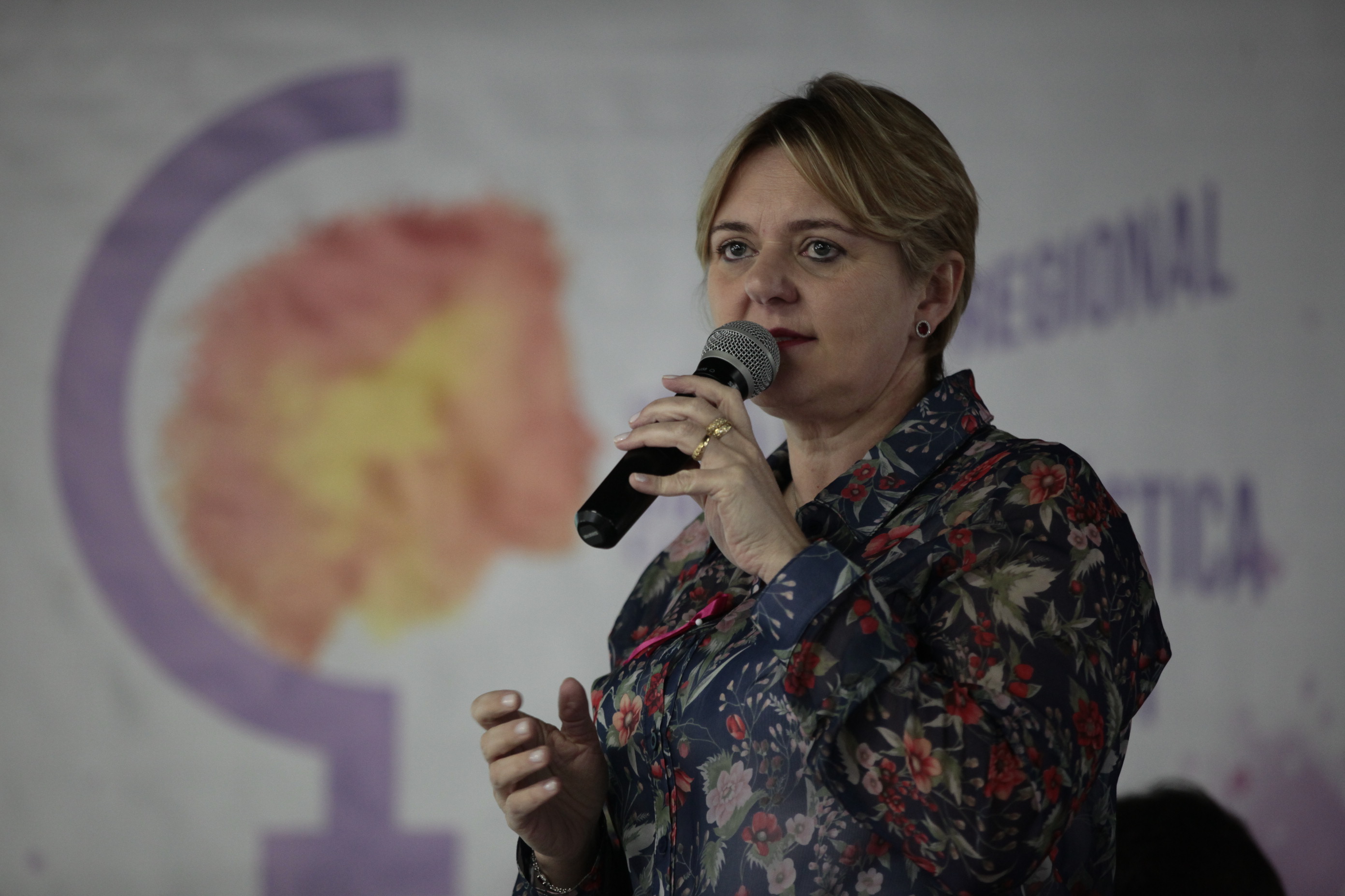 Seminário Regional pelo Fim da Violência Doméstica contra a Mulher - Orleans.