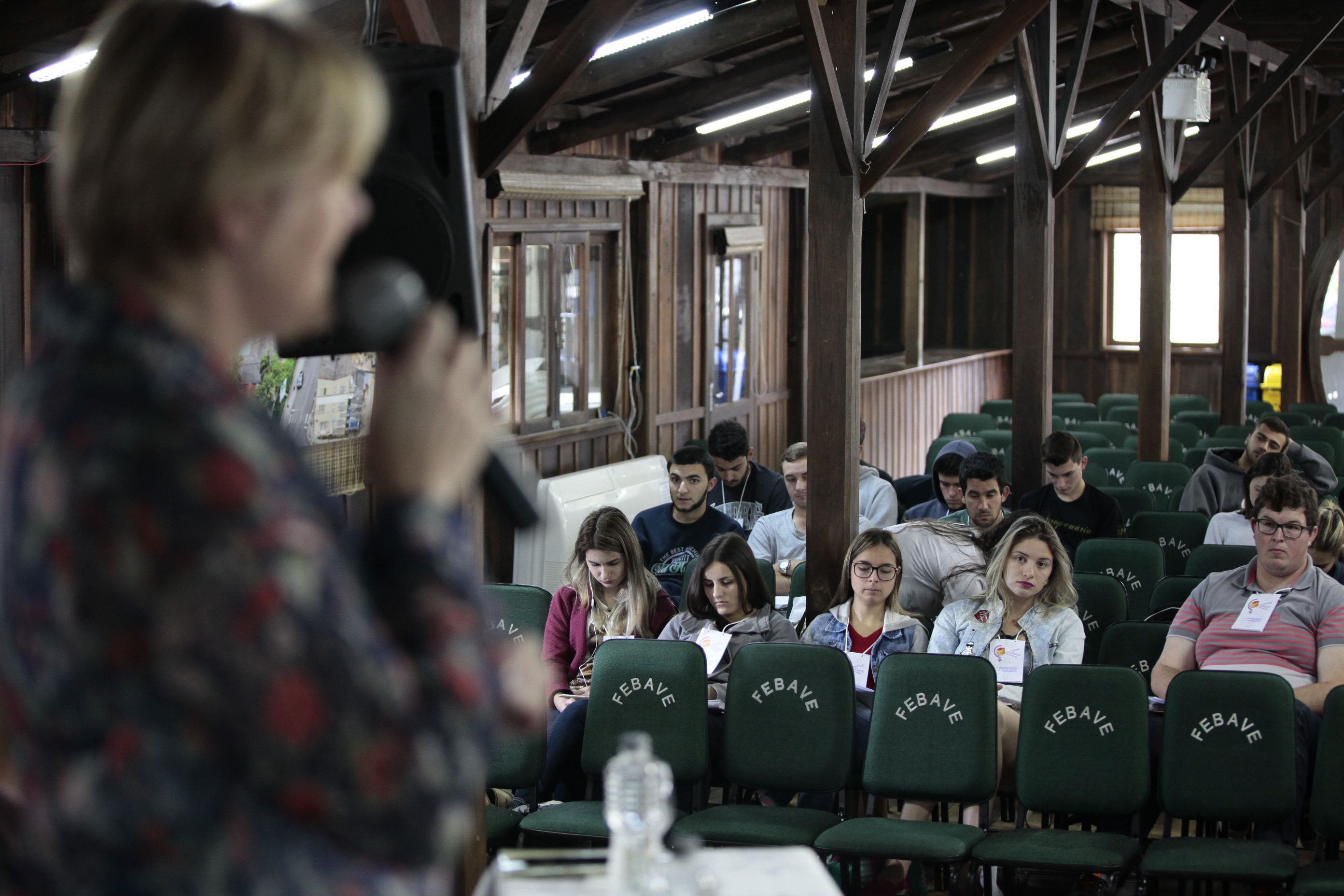 Seminário Regional pelo Fim da Violência Doméstica contra a Mulher - Orleans.