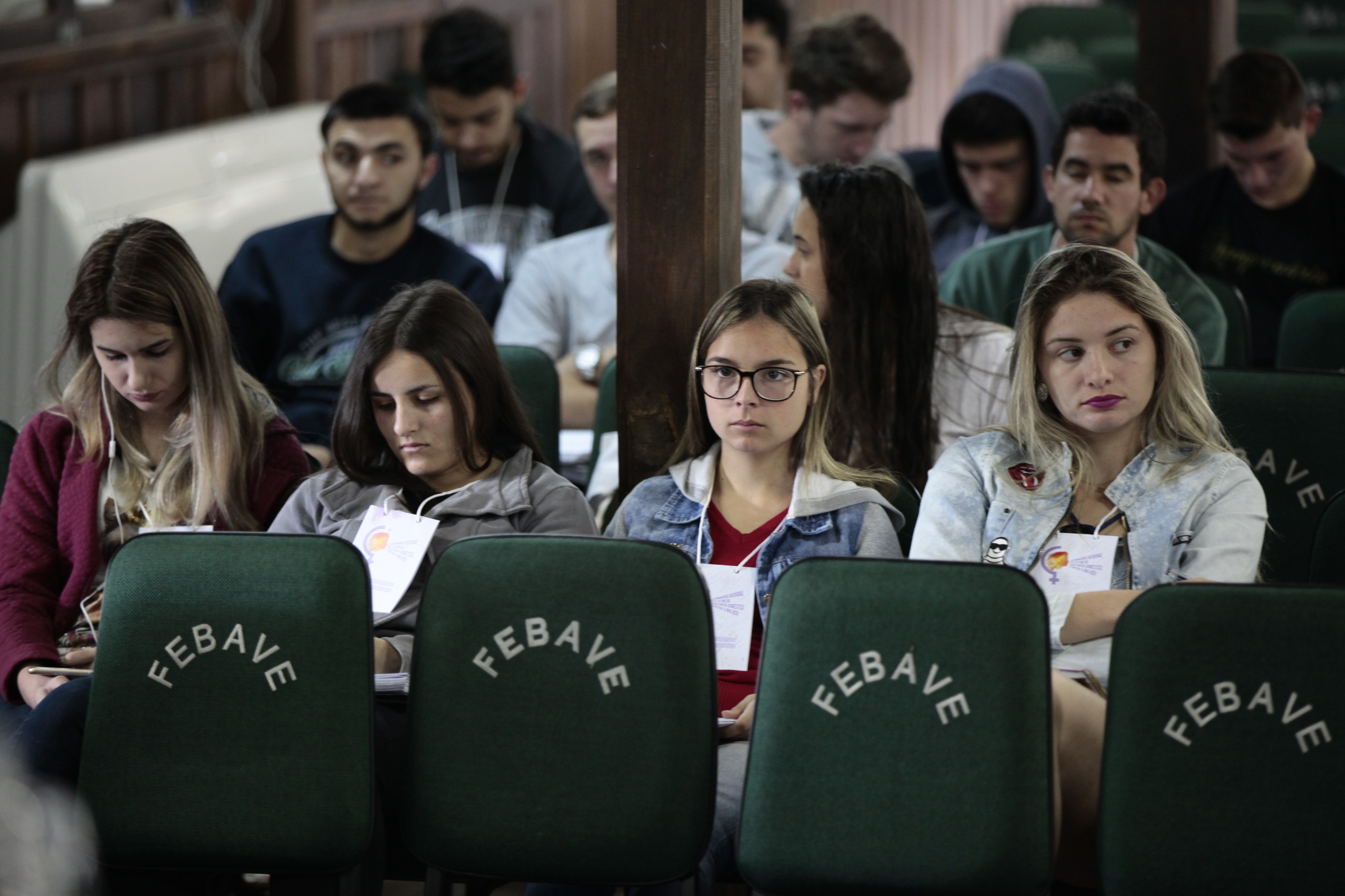 Seminário Regional pelo Fim da Violência Doméstica contra a Mulher - Orleans.
