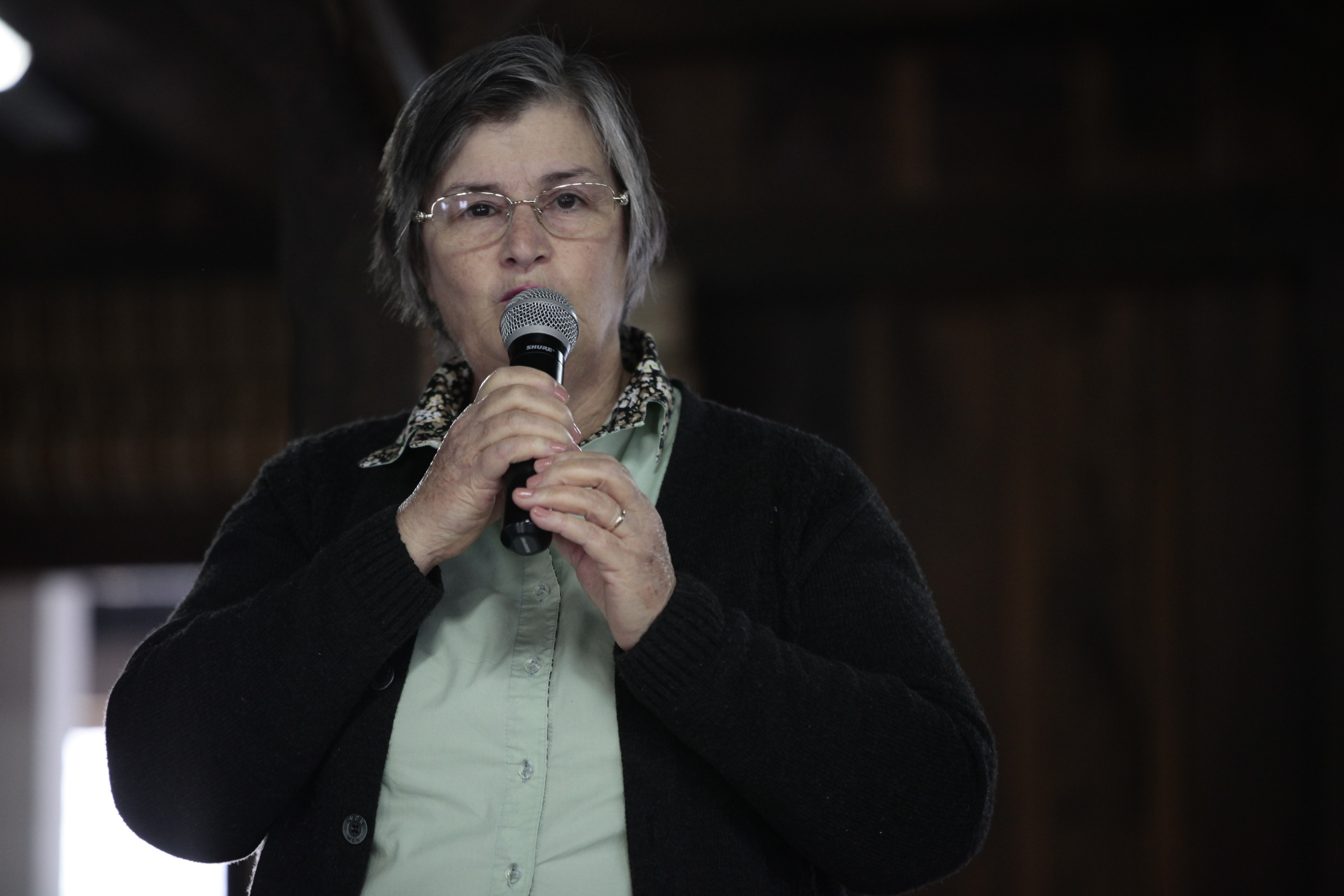 Seminário Regional pelo Fim da Violência Doméstica contra a Mulher - Orleans.