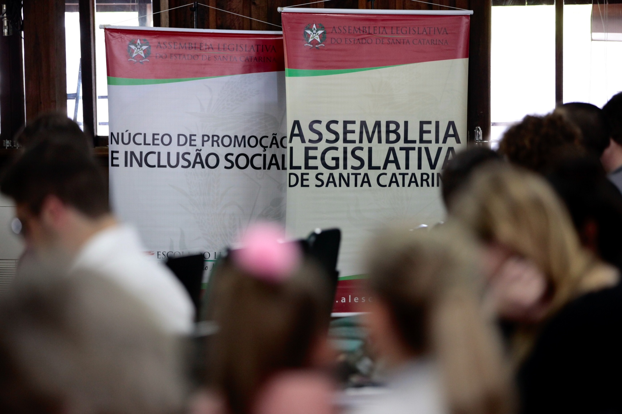 Seminário Regional pelo Fim da Violência Doméstica contra a Mulher - Orleans.