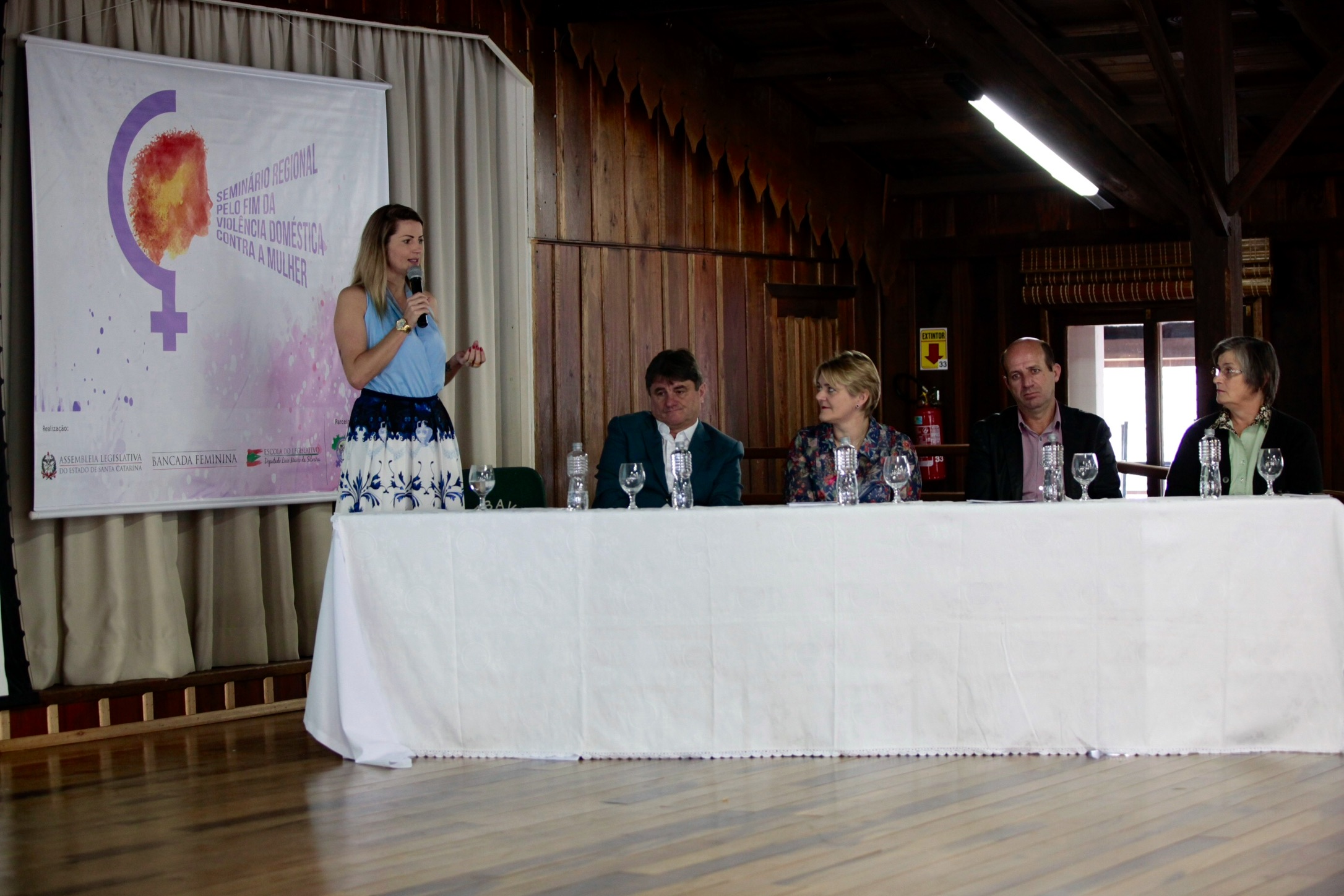 Seminário Regional pelo Fim da Violência Doméstica contra a Mulher - Orleans.