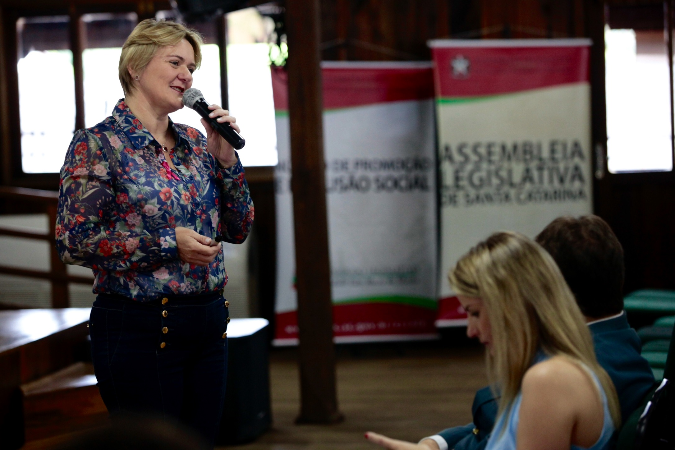 Seminário Regional pelo Fim da Violência Doméstica contra a Mulher - Orleans.
