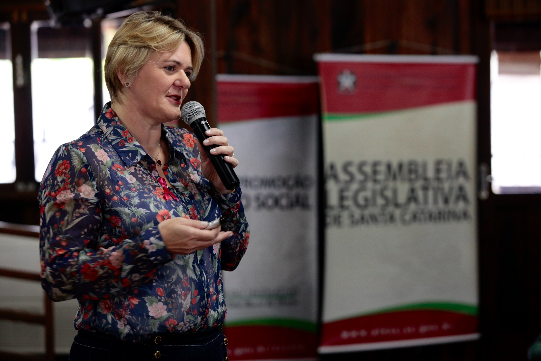 Seminário Regional pelo Fim da Violência Doméstica contra a Mulher - Orleans.
