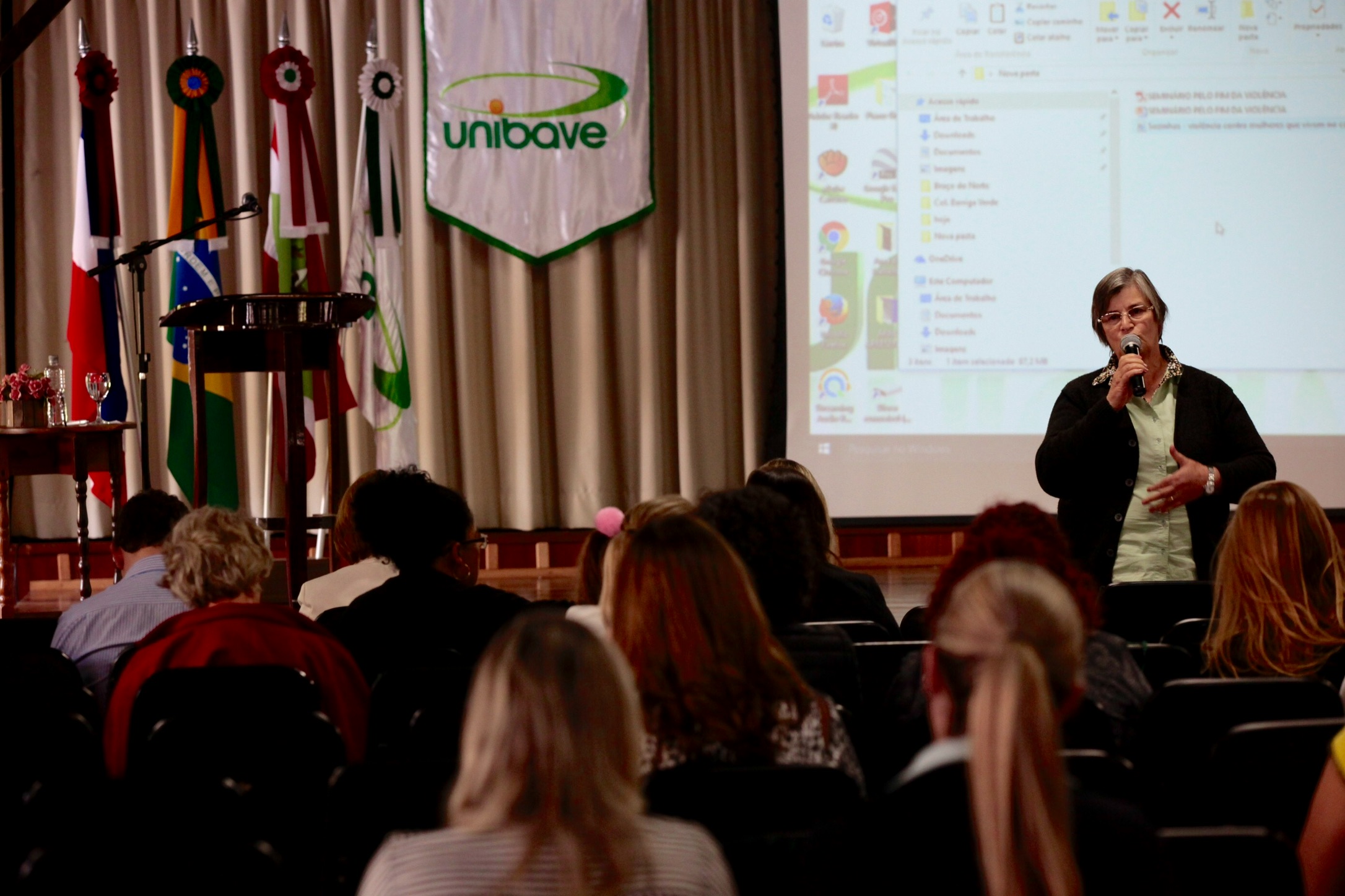Seminário Regional pelo Fim da Violência Doméstica contra a Mulher - Orleans.