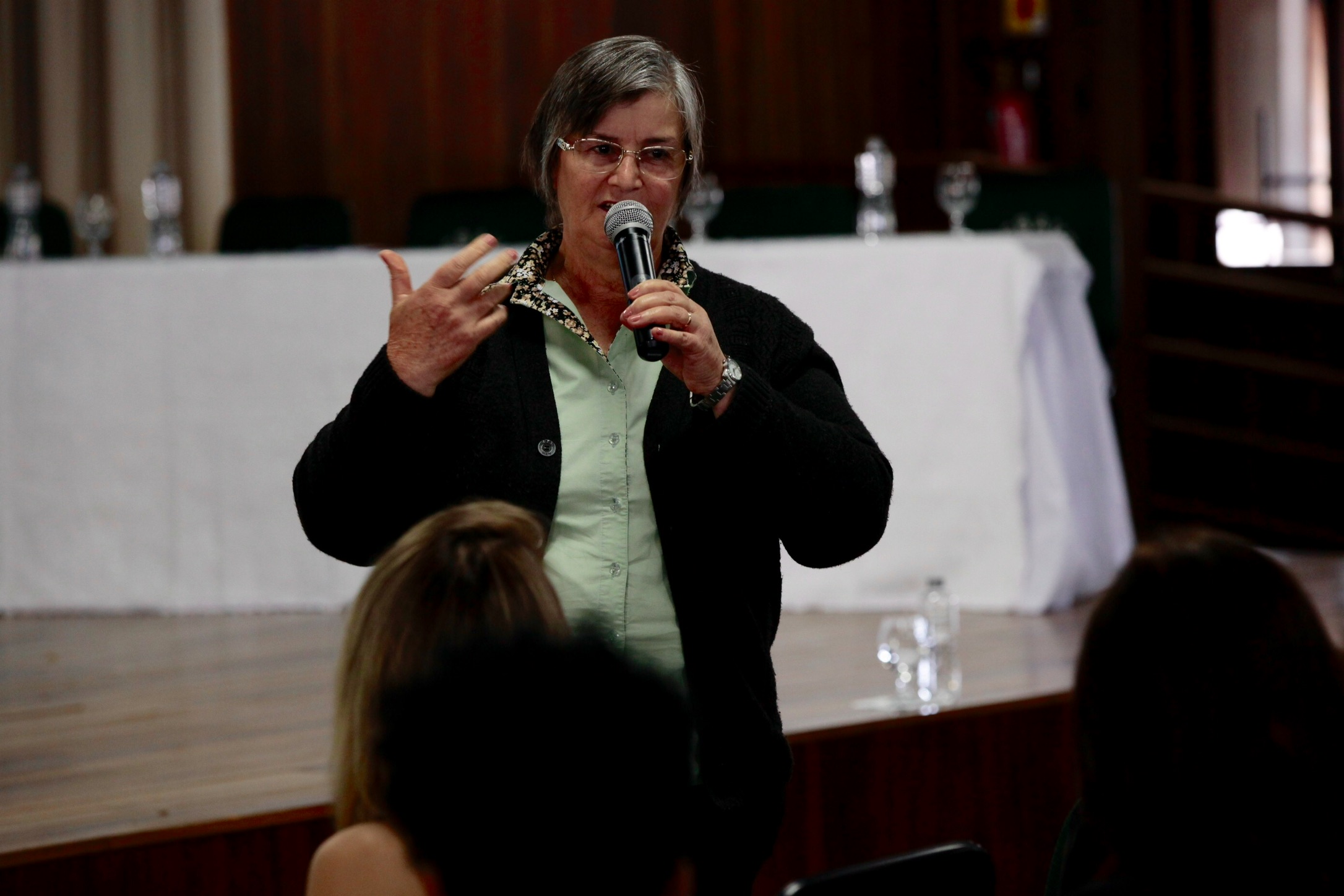Seminário Regional pelo Fim da Violência Doméstica contra a Mulher - Orleans.