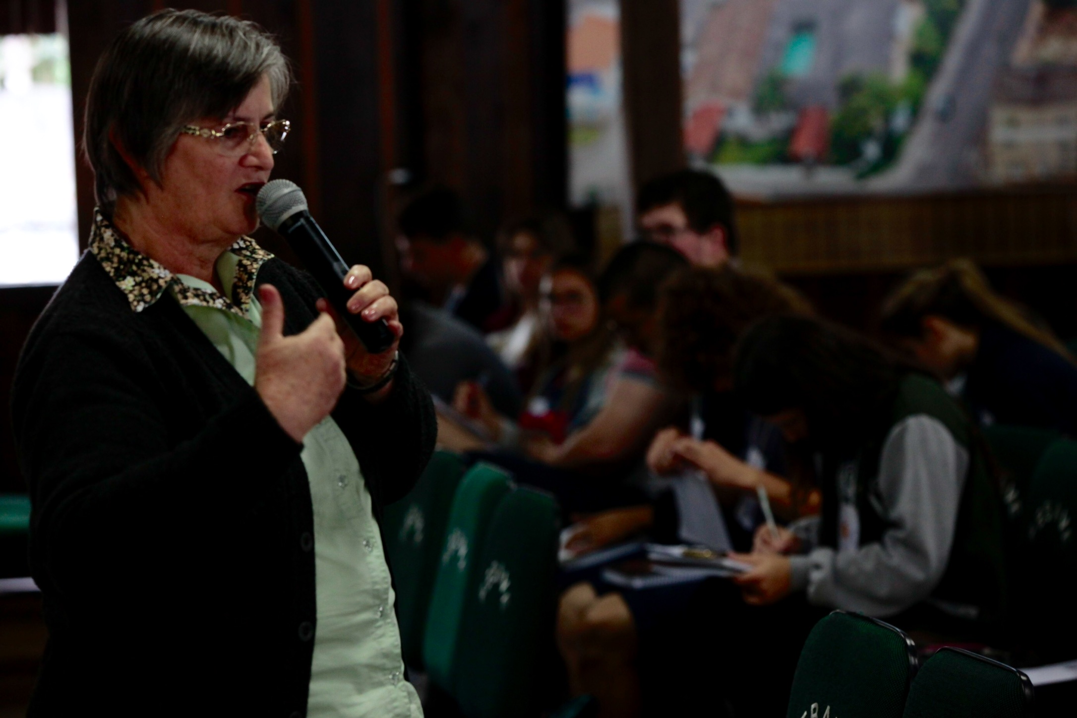 Seminário Regional pelo Fim da Violência Doméstica contra a Mulher - Orleans.