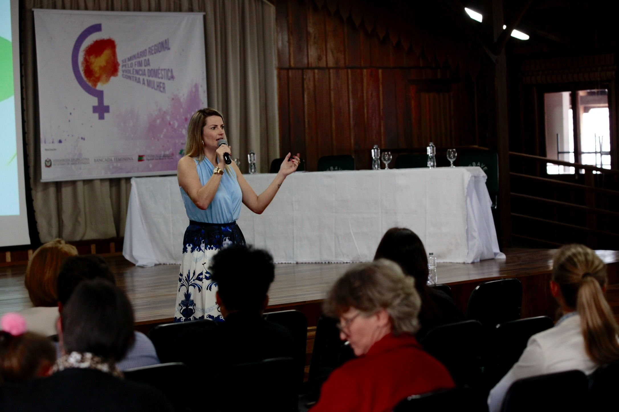 Seminário Regional pelo Fim da Violência Doméstica contra a Mulher - Orleans.