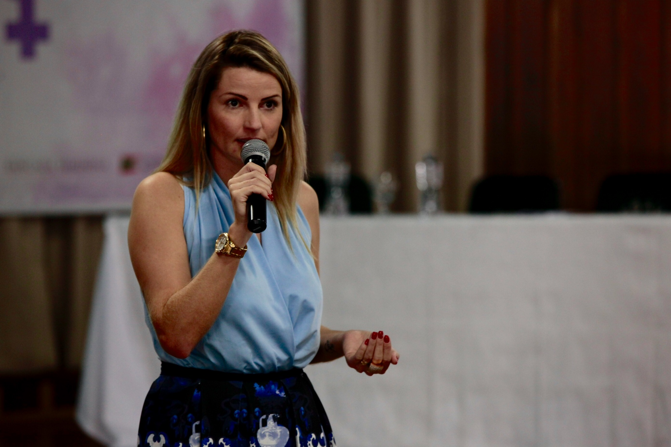 Seminário Regional pelo Fim da Violência Doméstica contra a Mulher - Orleans.