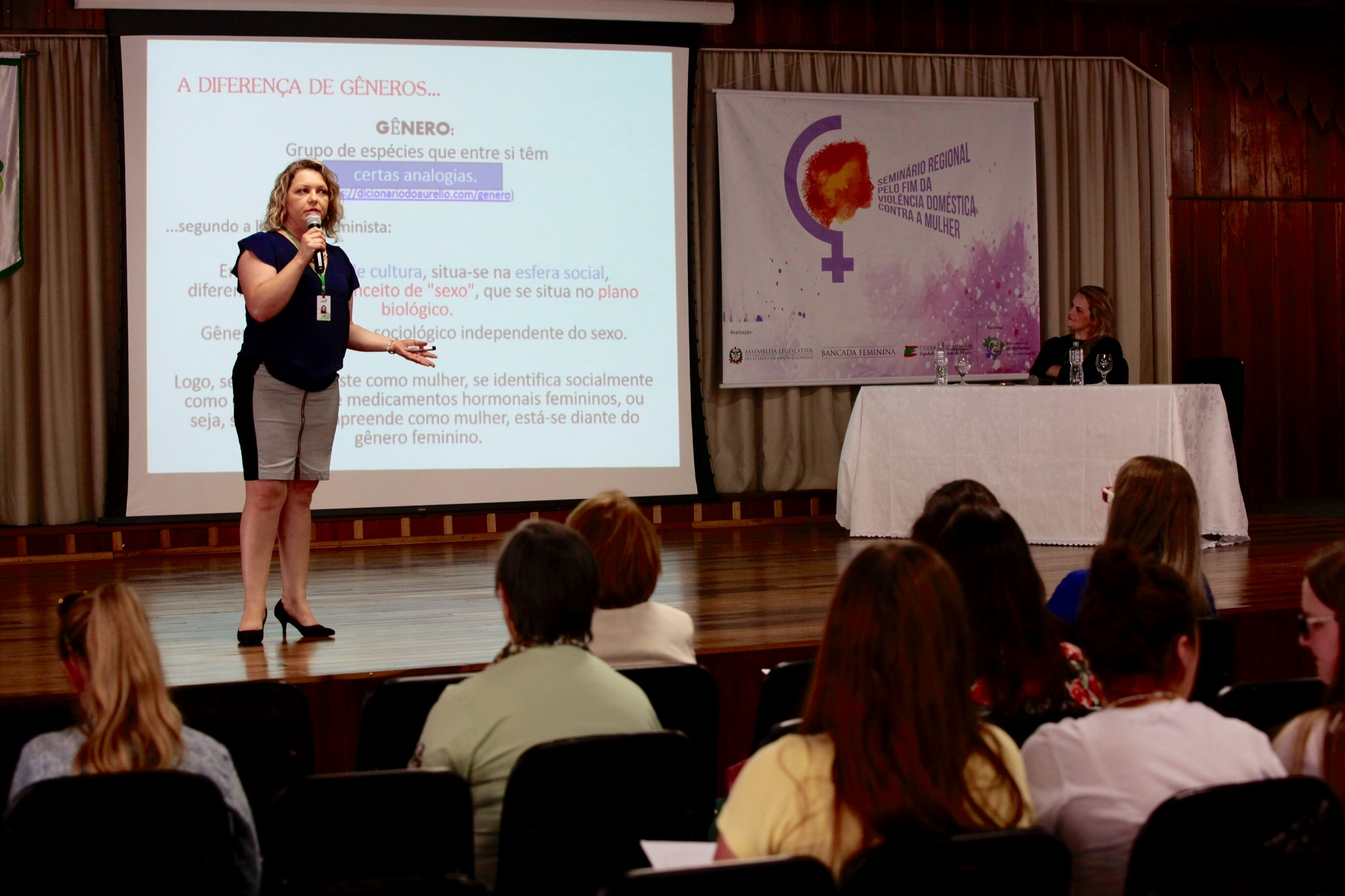 Seminário Regional pelo Fim da Violência Doméstica contra a Mulher - Orleans.