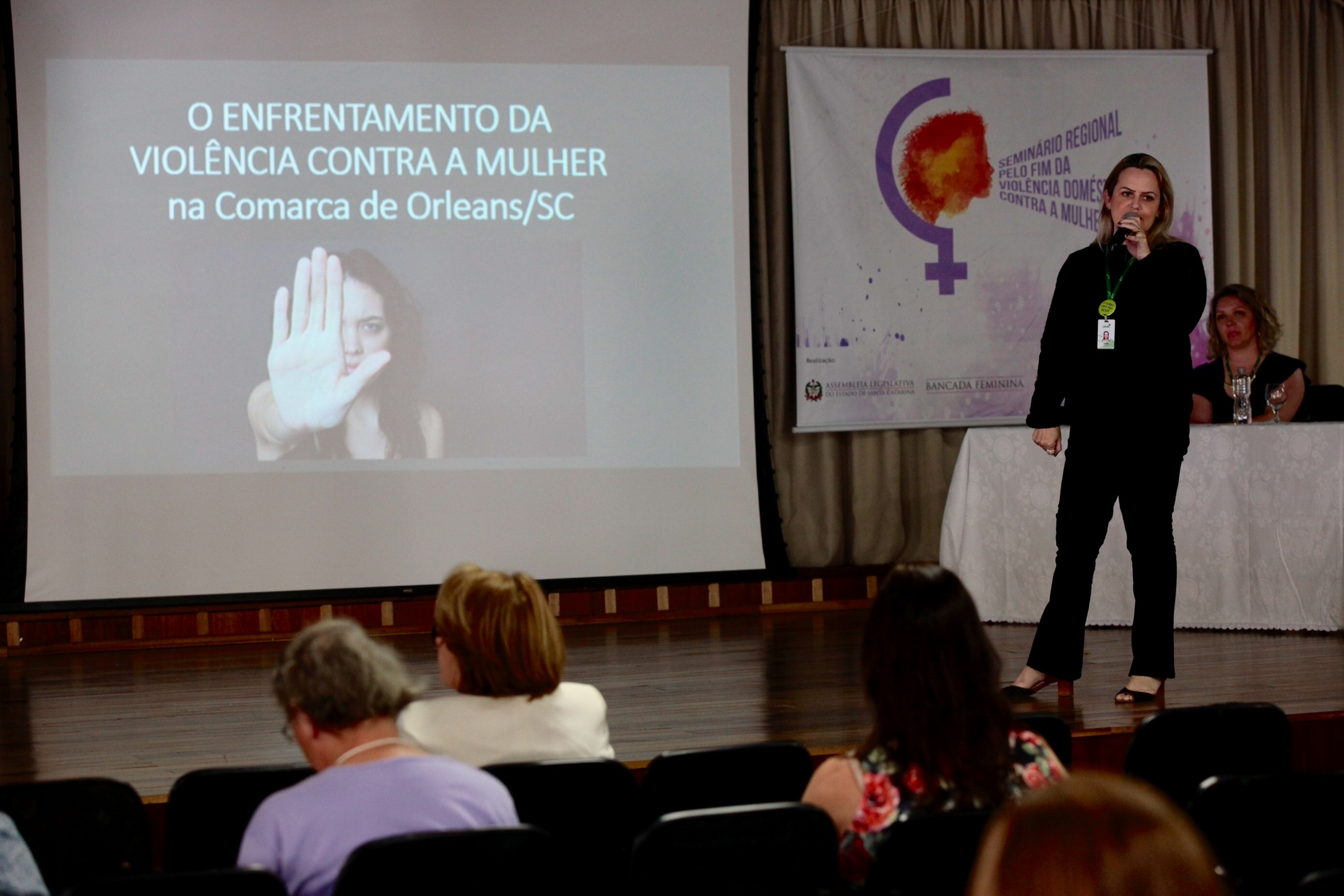 Seminário Regional pelo Fim da Violência Doméstica contra a Mulher - Orleans.