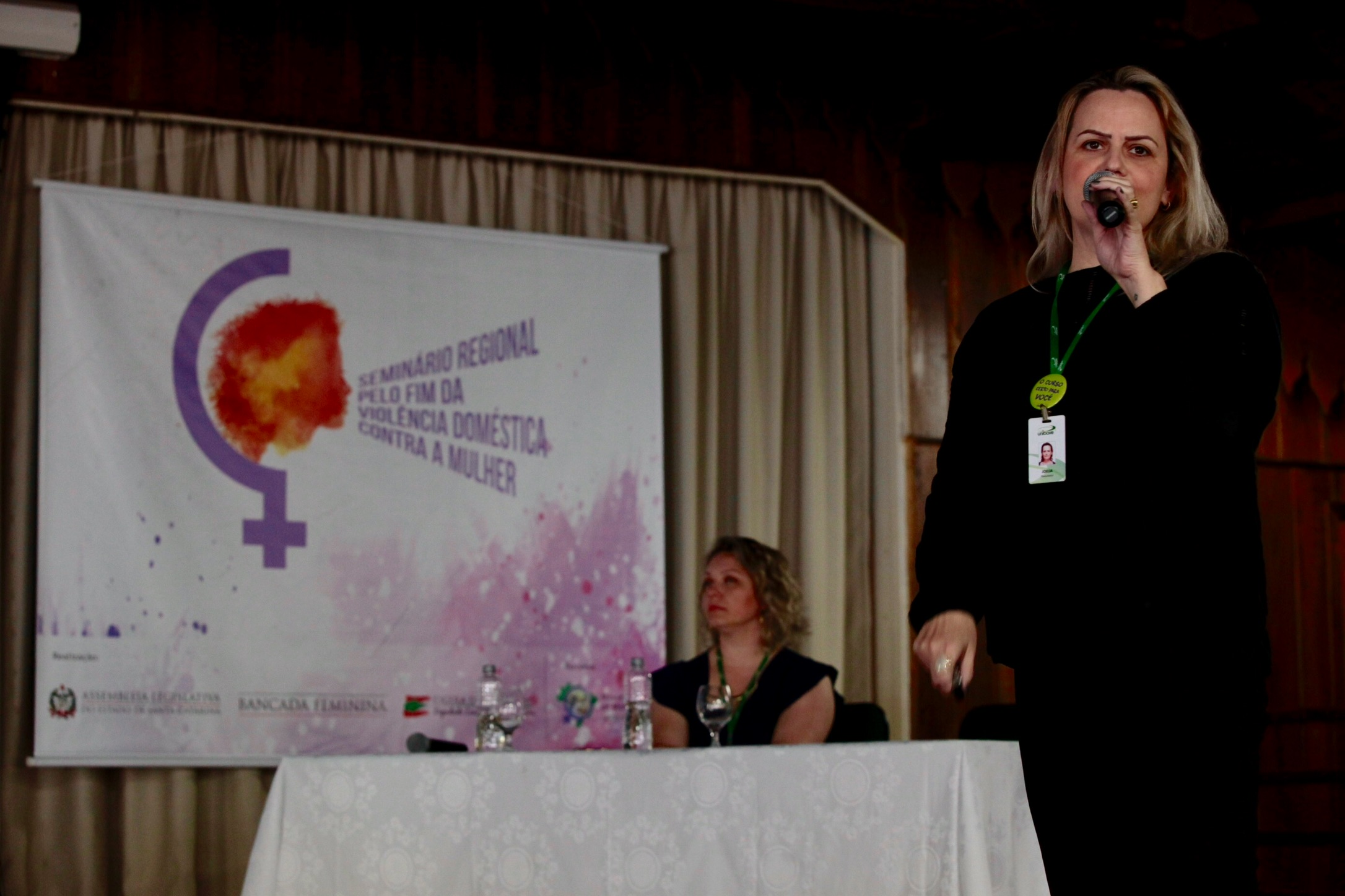 Seminário Regional pelo Fim da Violência Doméstica contra a Mulher - Orleans.