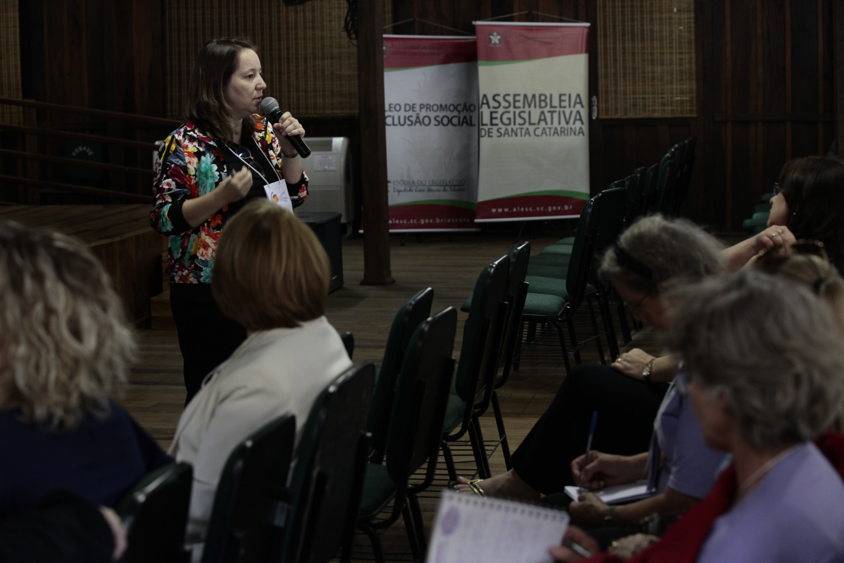 Seminário Regional pelo Fim da Violência Doméstica contra a Mulher - Orleans.