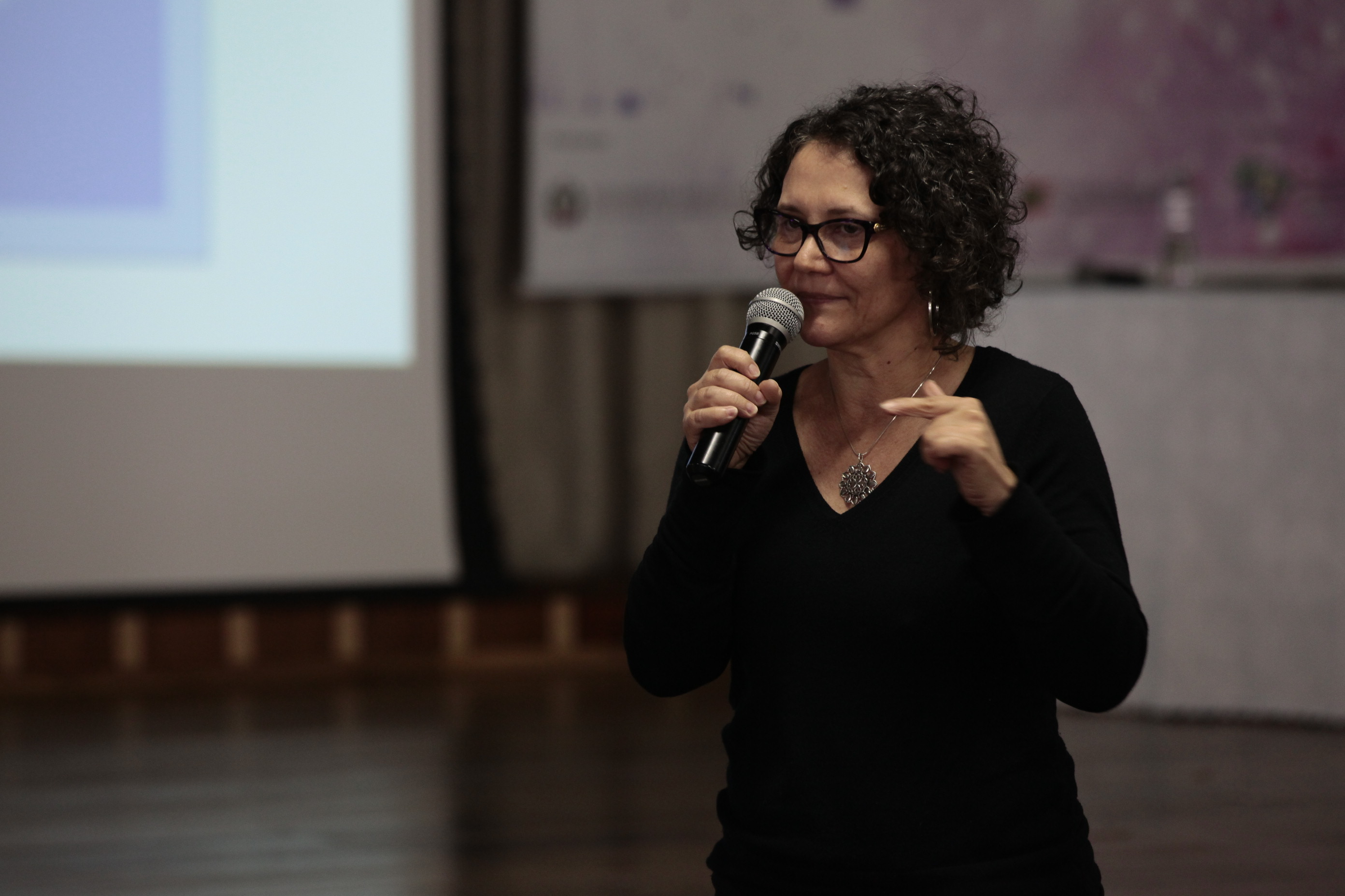 Seminário Regional pelo Fim da Violência Doméstica contra a Mulher - Orleans.