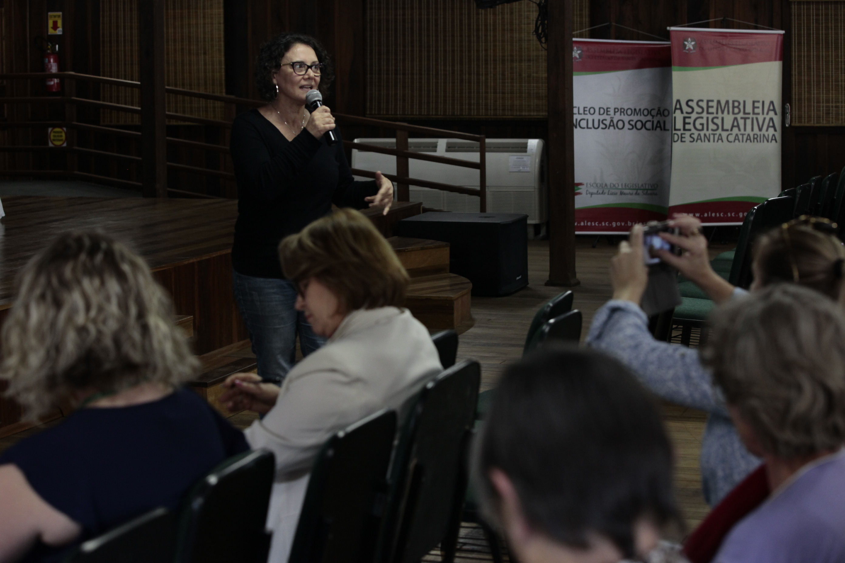 Seminário Regional pelo Fim da Violência Doméstica contra a Mulher - Orleans.