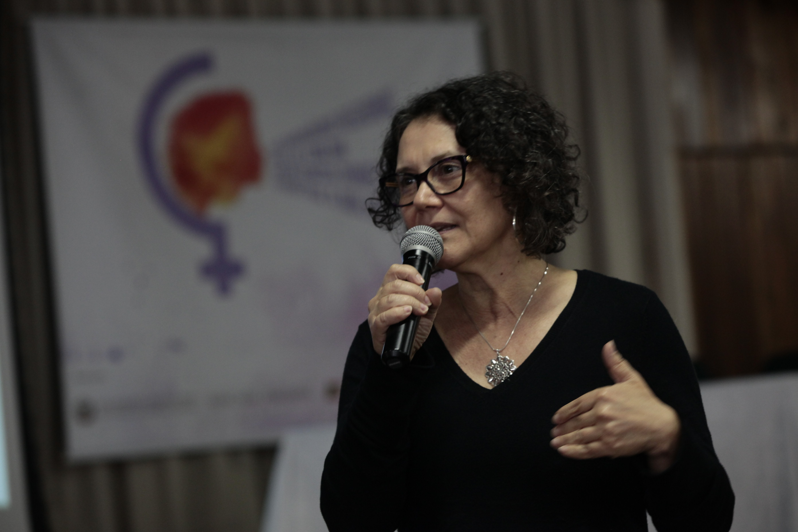 Seminário Regional pelo Fim da Violência Doméstica contra a Mulher - Orleans.