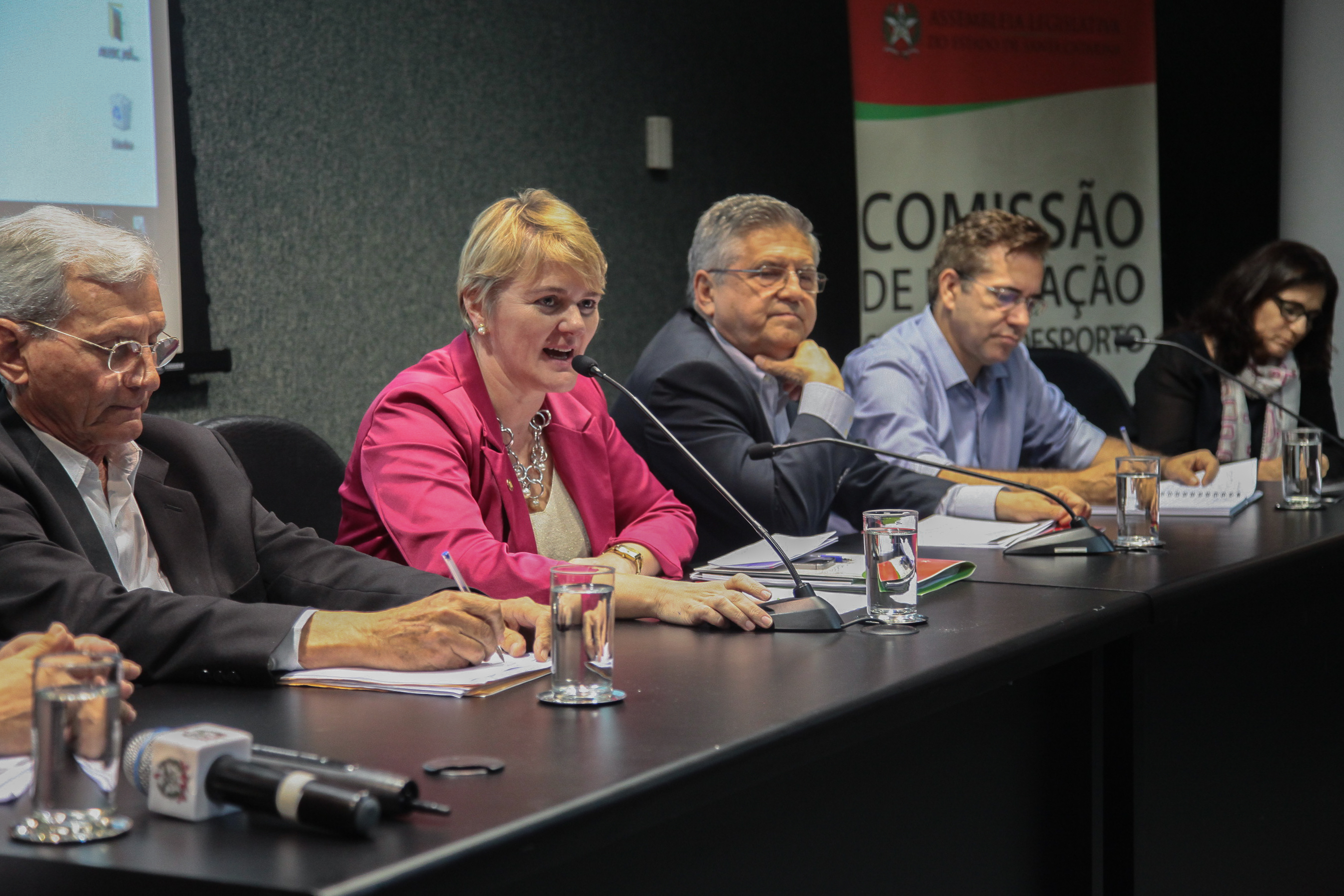 Audiência Pública  sobre o Financiamento da Arte e da Cultura em Santa Catarina.