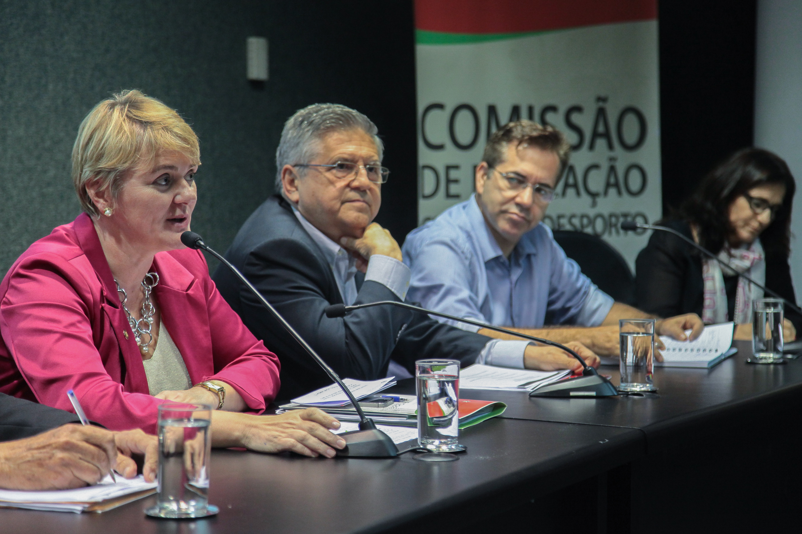 Audiência Pública  sobre o Financiamento da Arte e da Cultura em Santa Catarina.