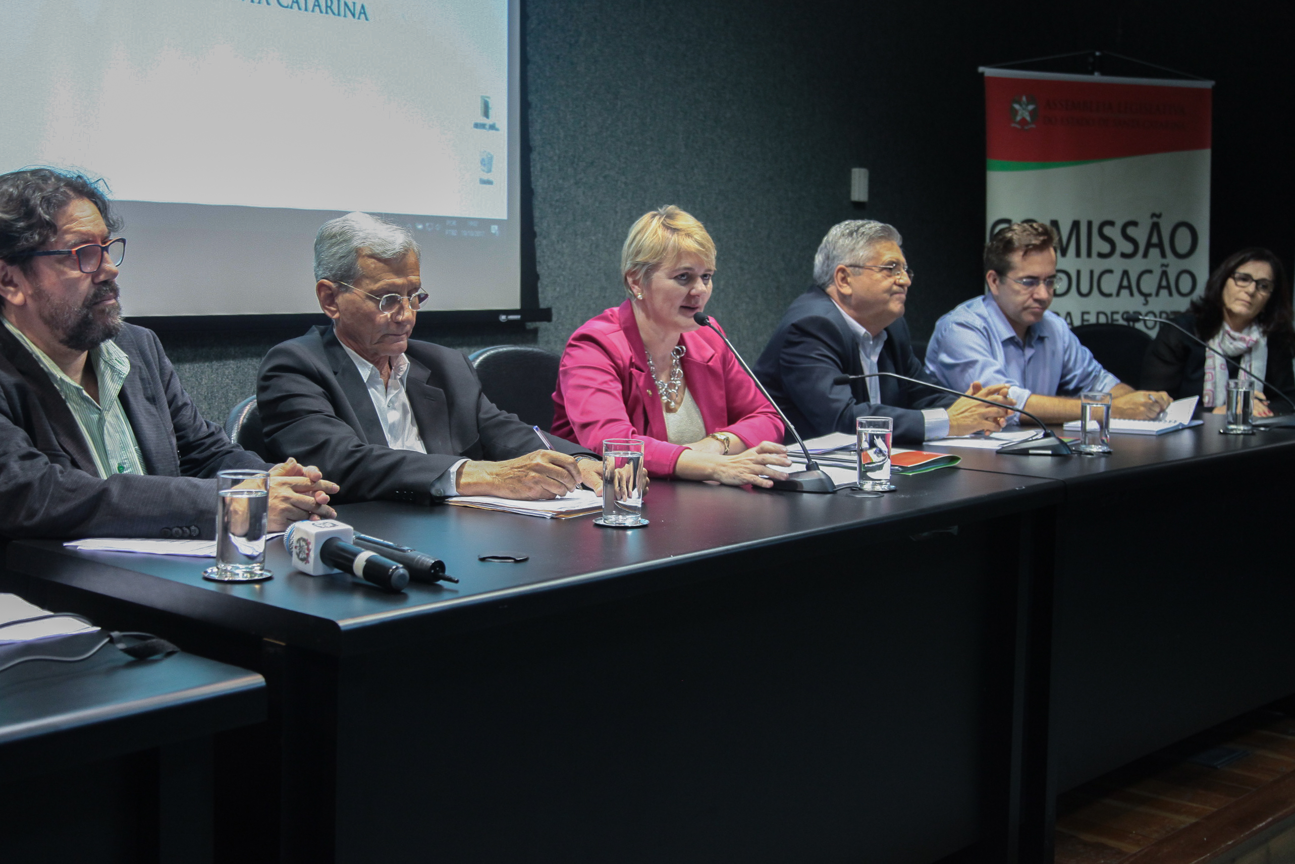 Audiência Pública  sobre o Financiamento da Arte e da Cultura em Santa Catarina.