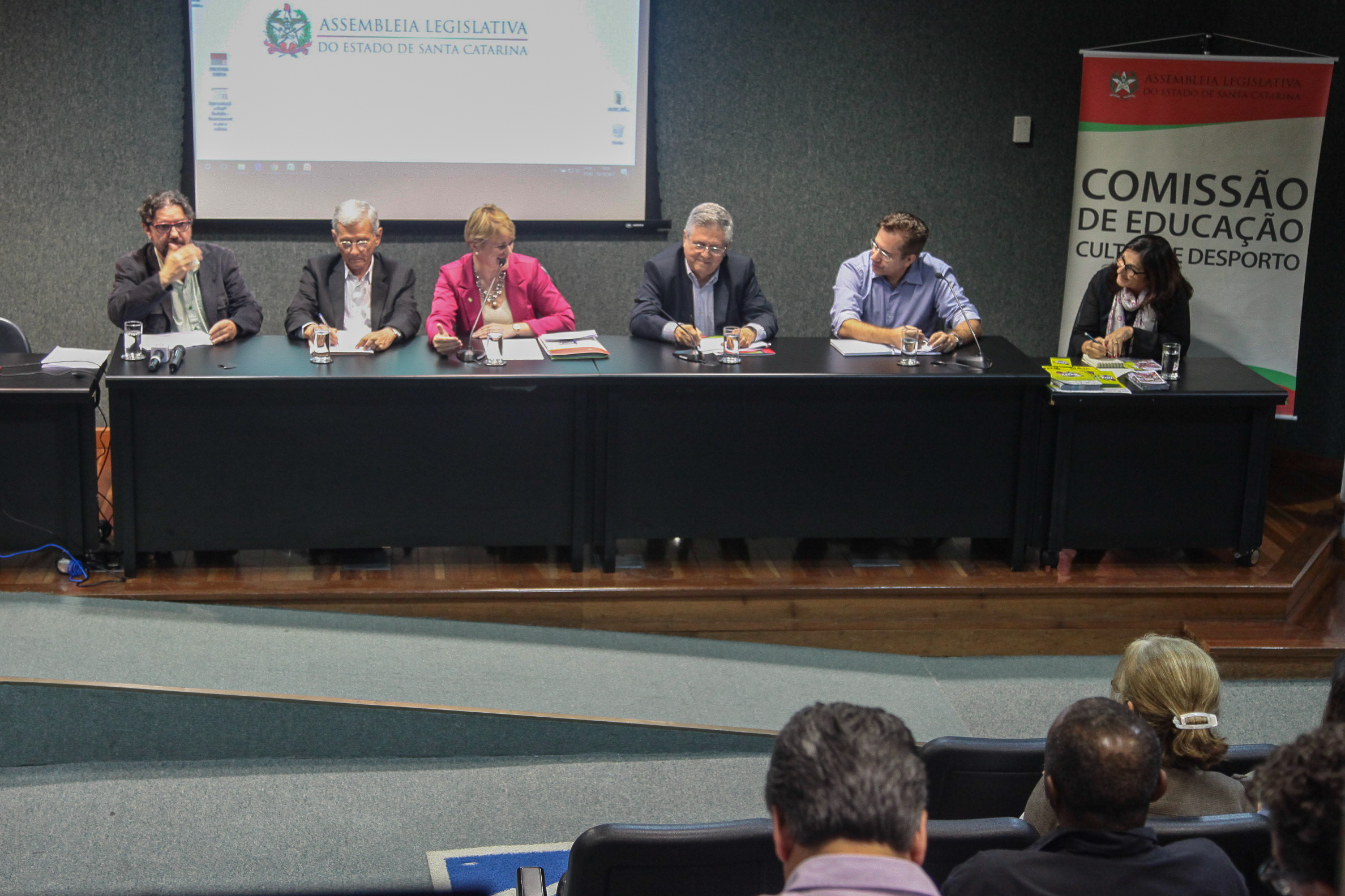 Audiência Pública  sobre o Financiamento da Arte e da Cultura em Santa Catarina.