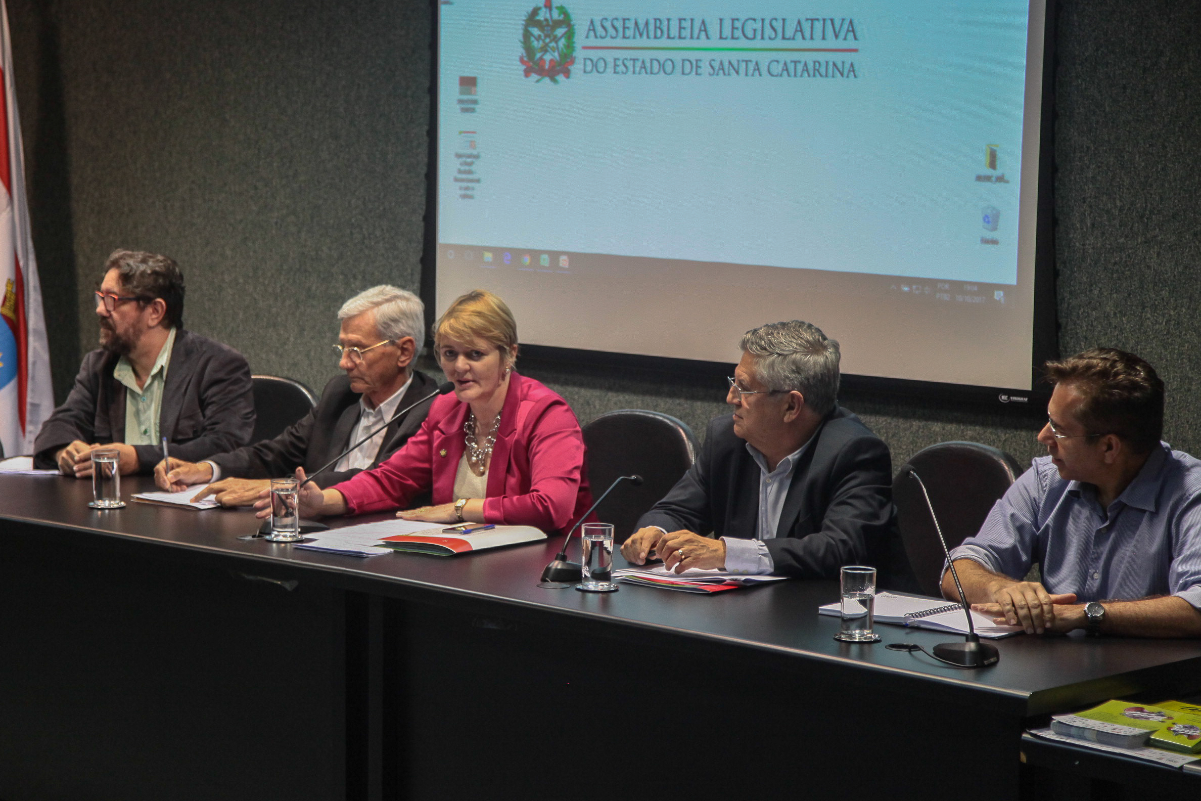 Audiência Pública  sobre o Financiamento da Arte e da Cultura em Santa Catarina.