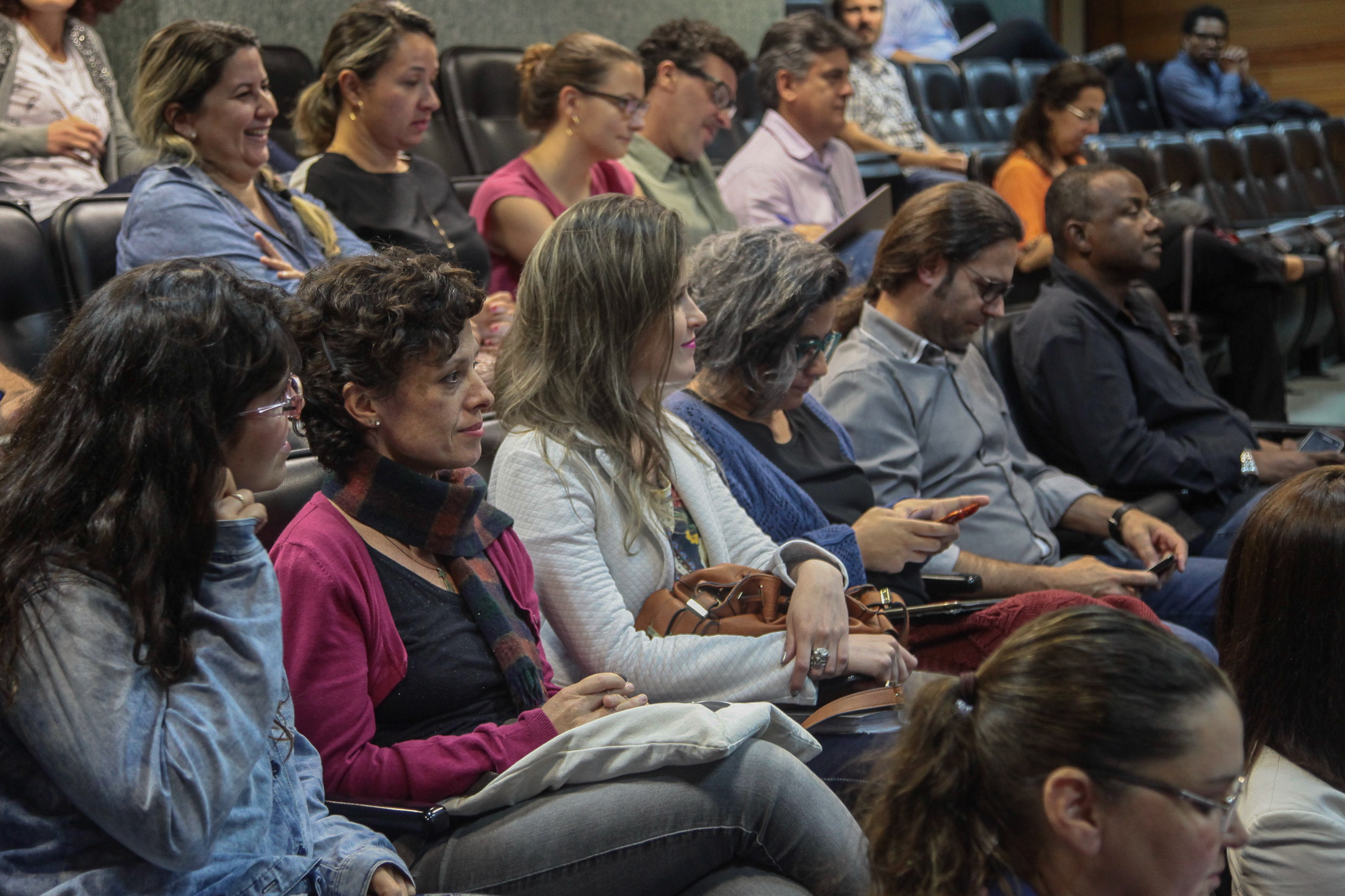 Audiência Pública  sobre o Financiamento da Arte e da Cultura em Santa Catarina.