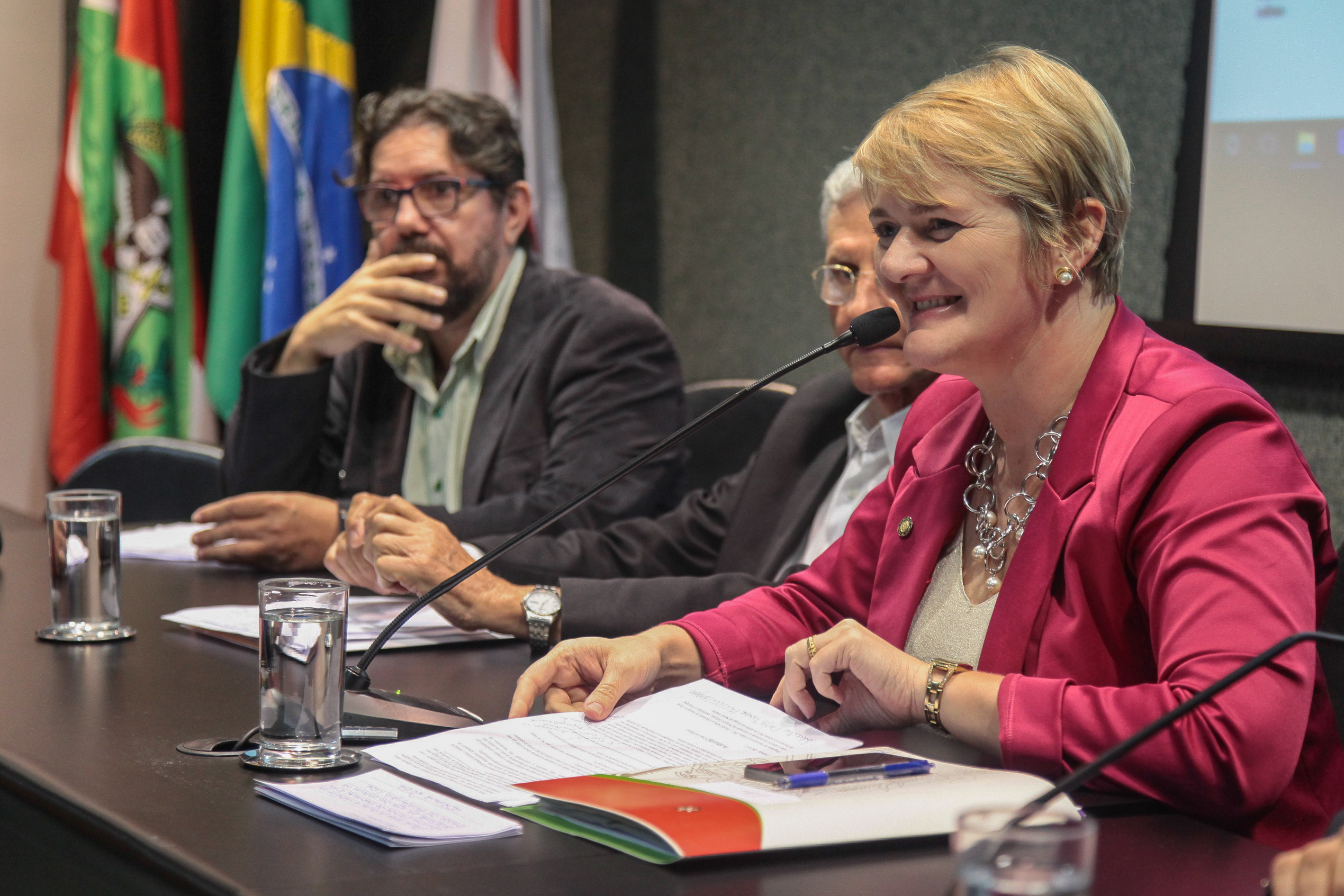 Audiência Pública  sobre o Financiamento da Arte e da Cultura em Santa Catarina.