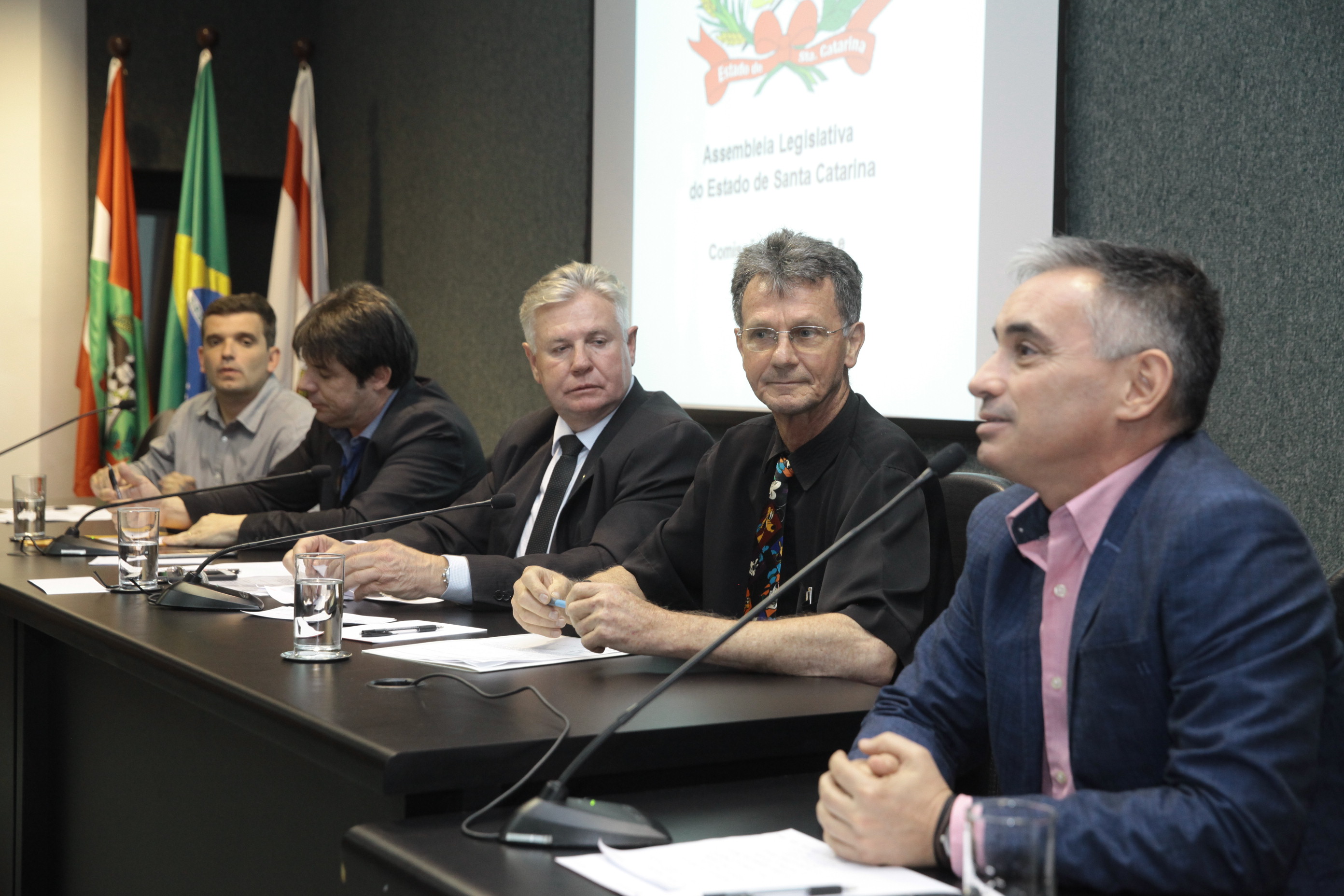 Audiência Pública para Discutir o Financiamento Público do Carnaval de SC.