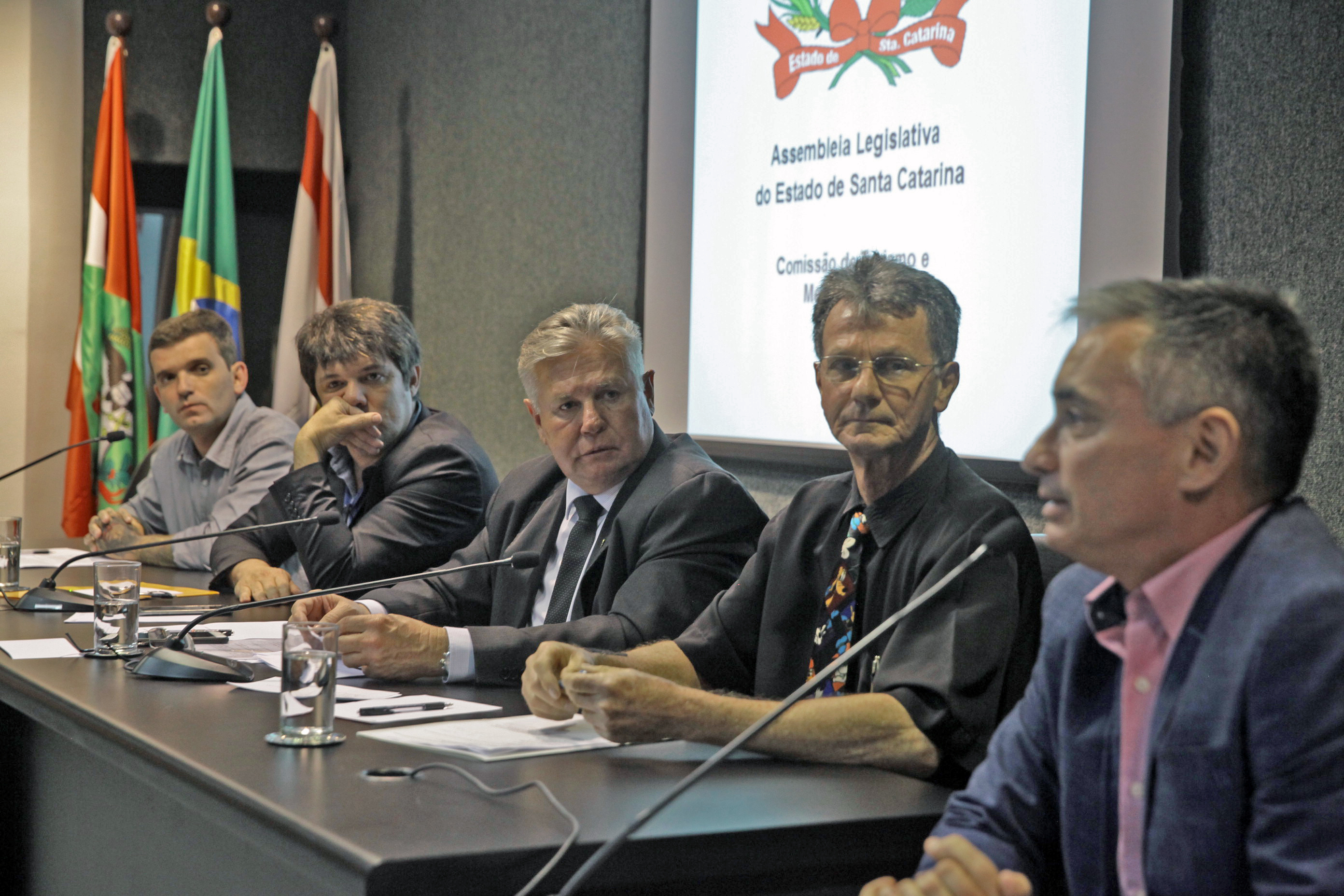 Audiência Pública para Discutir o Financiamento Público do Carnaval de SC.