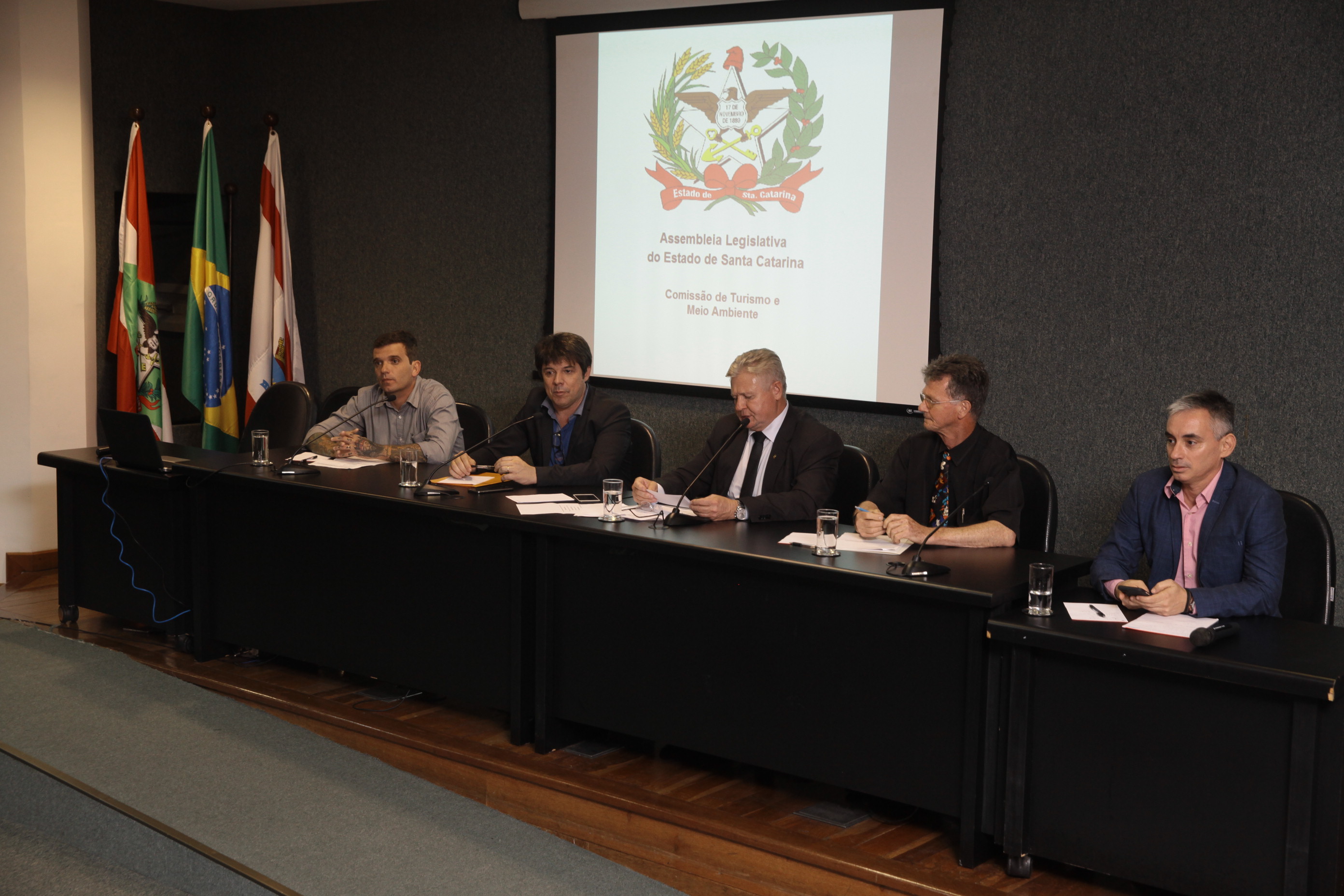 Audiência Pública para Discutir o Financiamento Público do Carnaval de SC.