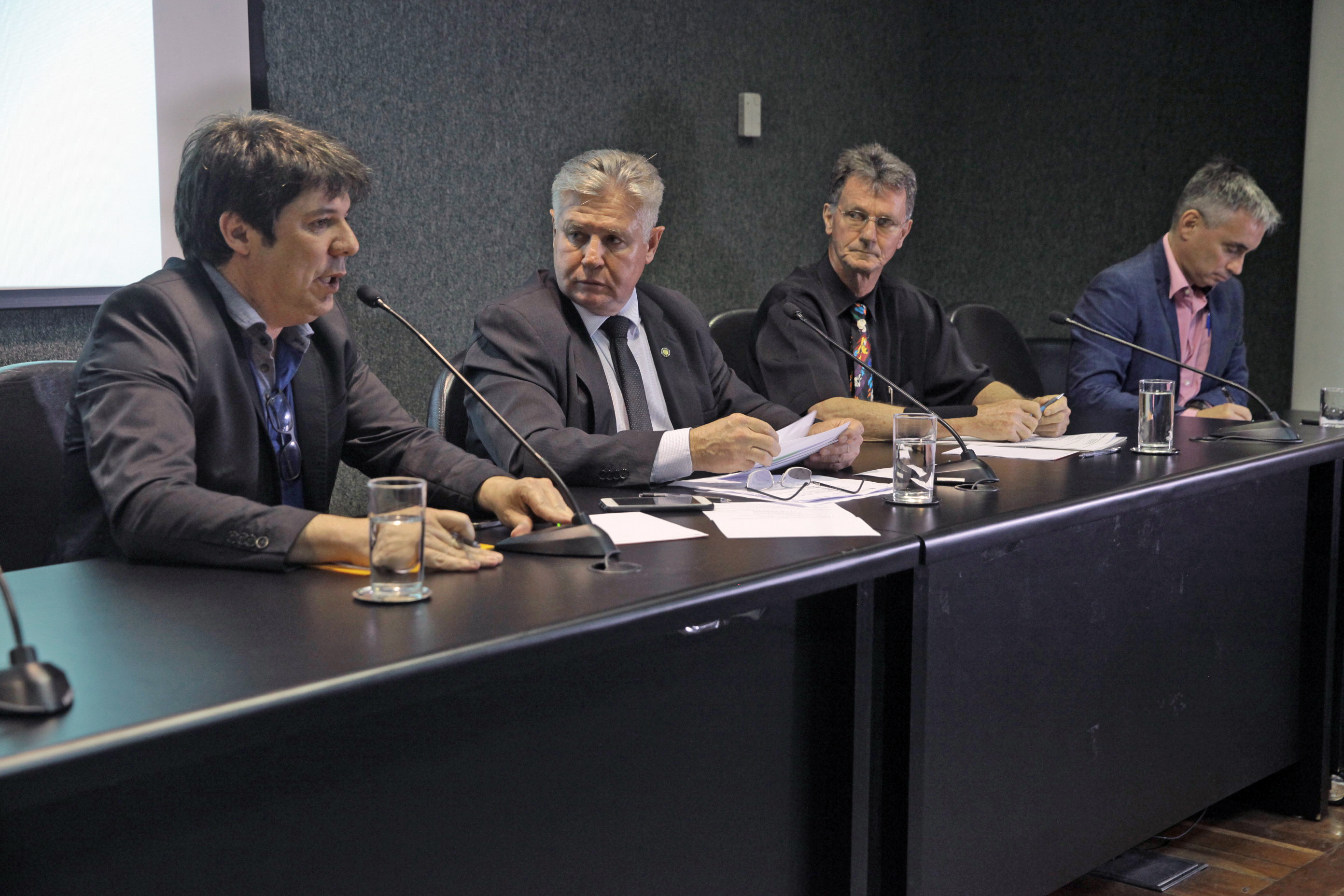 Audiência Pública para Discutir o Financiamento Público do Carnaval de SC.