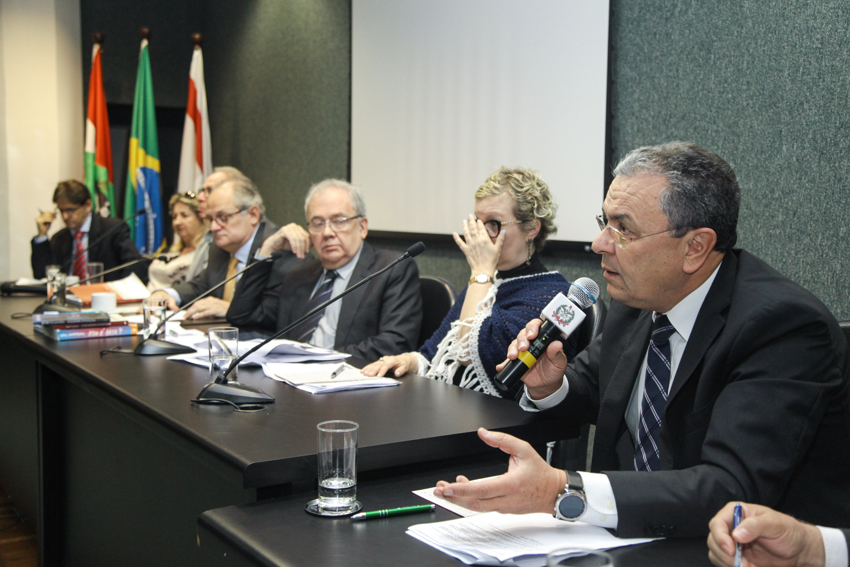 Audiência Pública Sobre a Distribuição Gratuita de Análogos de Insulina.